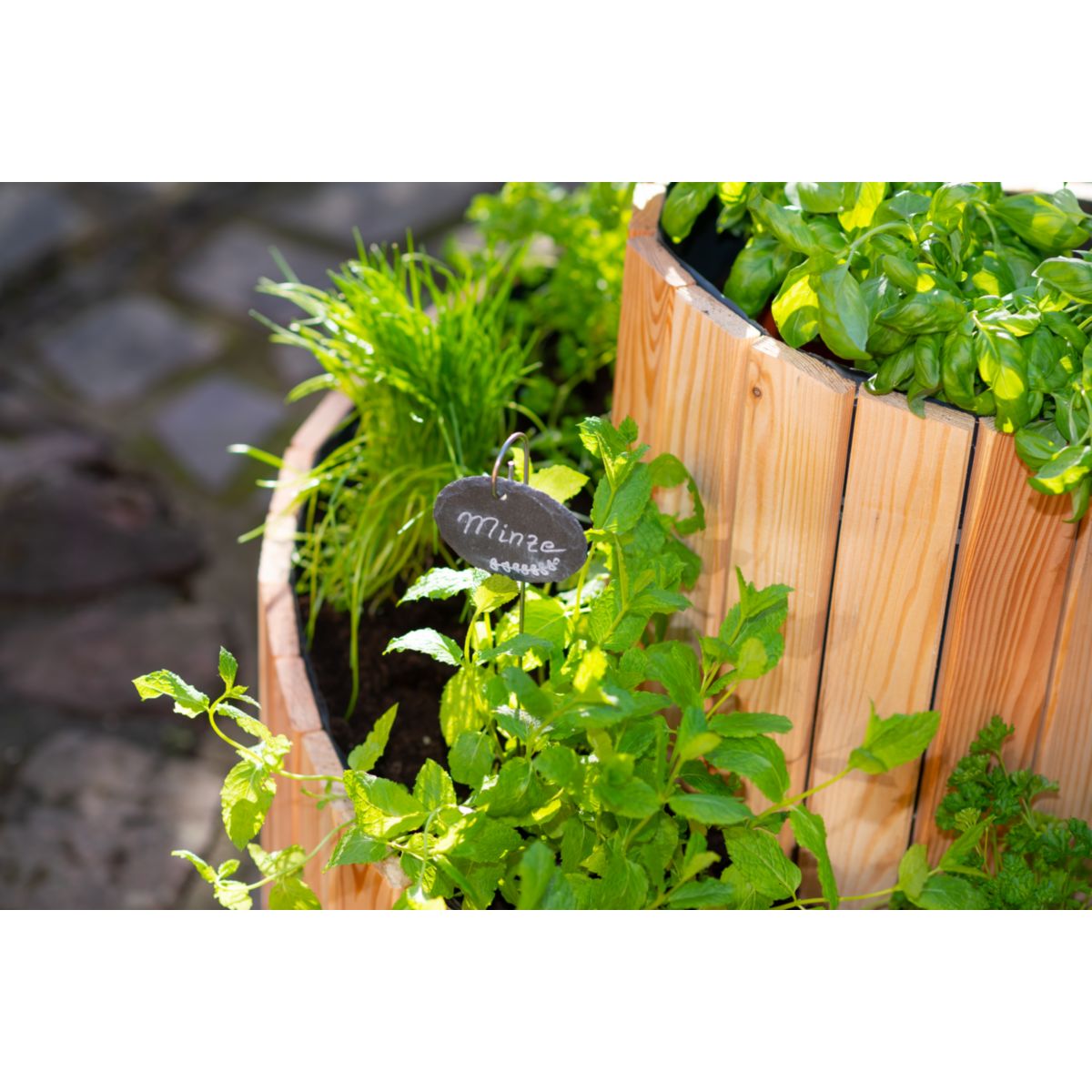 Westmann Kräuterspirale Luise 55x55x77cm Bild 3