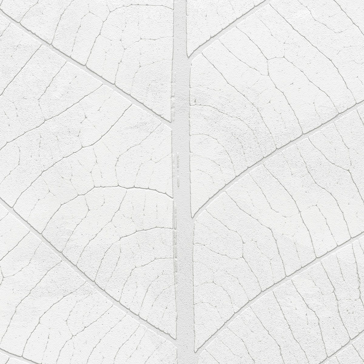 Komar  Vlies Fototapete Decent Leaf 200x280 cm Bild 6