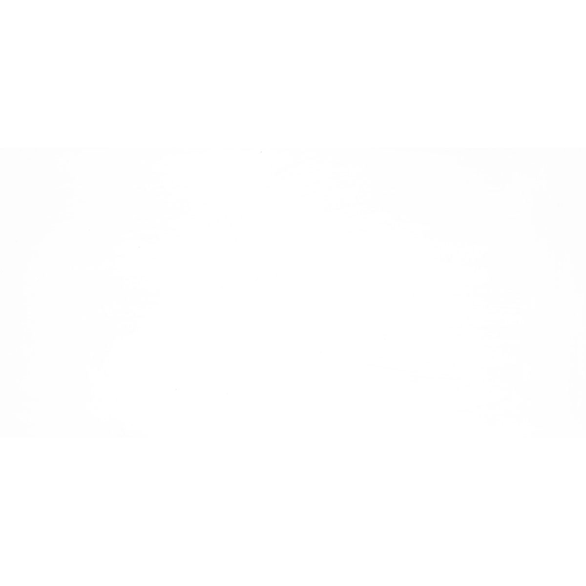 Wandfliese weiß glänzend 30 x 60 x 0,75 cm