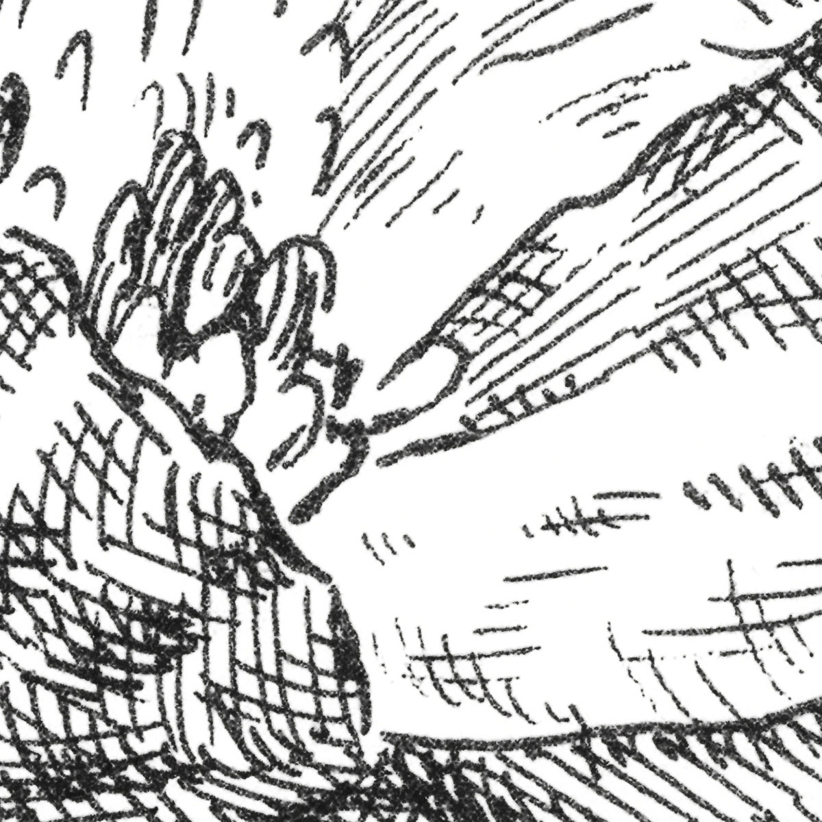 Komar  Vlies Fototapete Flowerbed 300x250 cm Bild 7