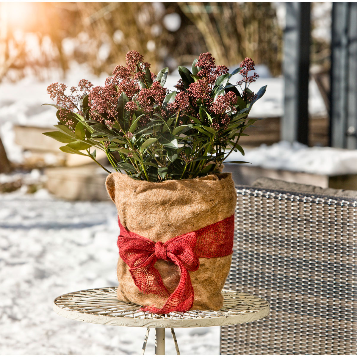 Winterschutz-Vliesmatte 150 x 38 cm Bild 1