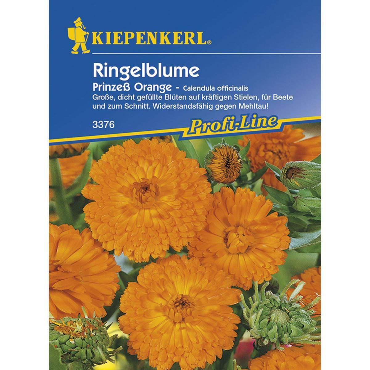Kiepenkerl Ringelblume Prinzeß Orange Profi-Line