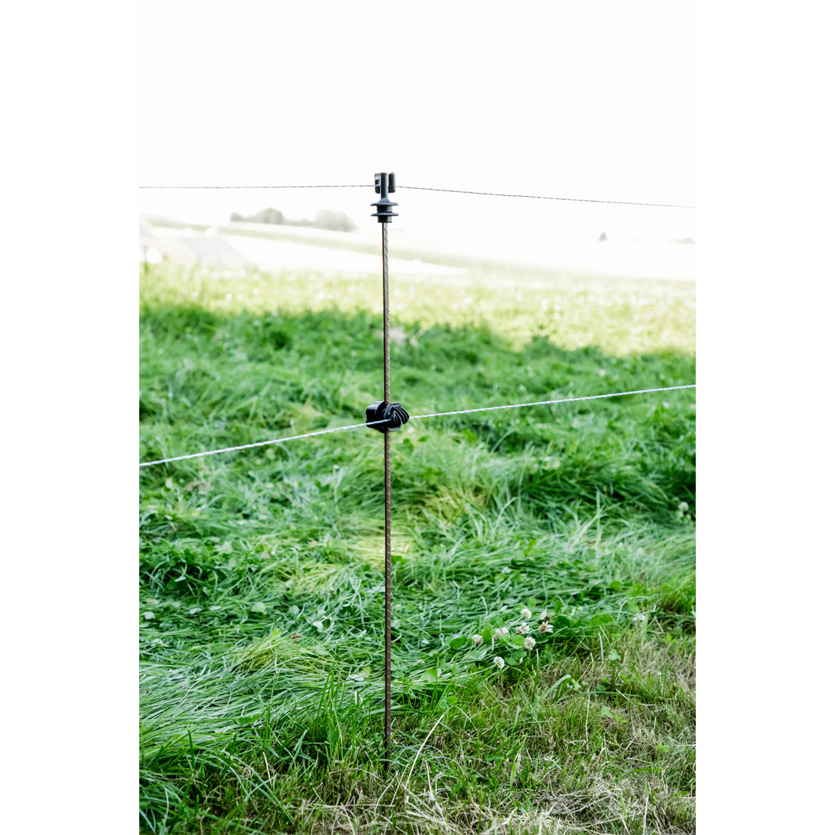 Federstahlpfahl Einzelspitze 107 cm braun 10 Stück Bild 3