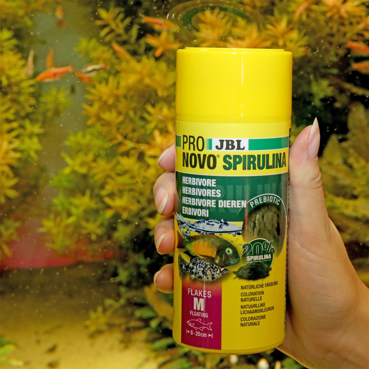 JBL  PRONOVO SPIRULINA FLAKES M 250ml Bild 4