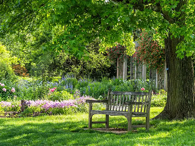 Eine Holzbank steht unter einem Baum in einem blühenden Garten bei Tageslicht.