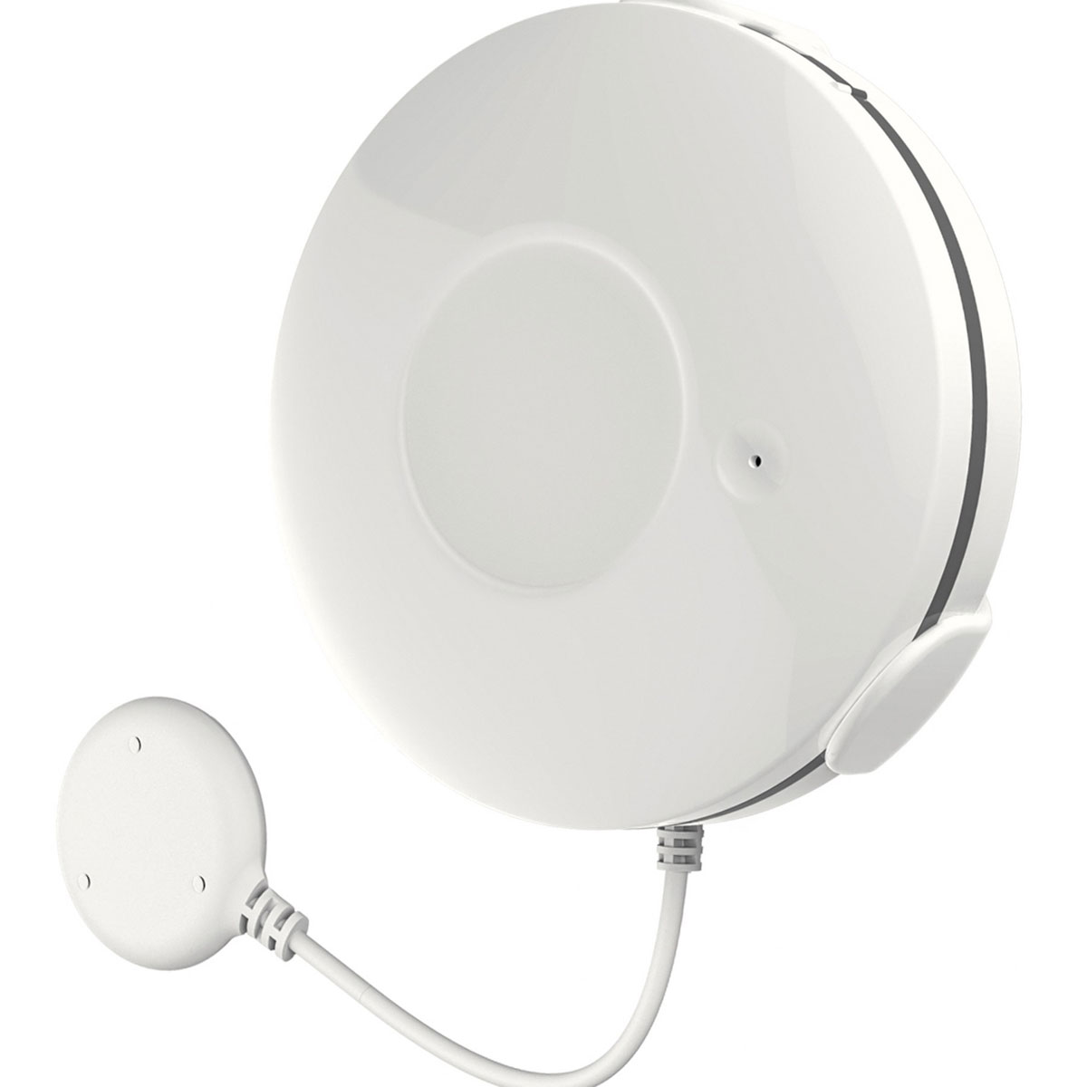 Fontastic Wassermelder Smart Home