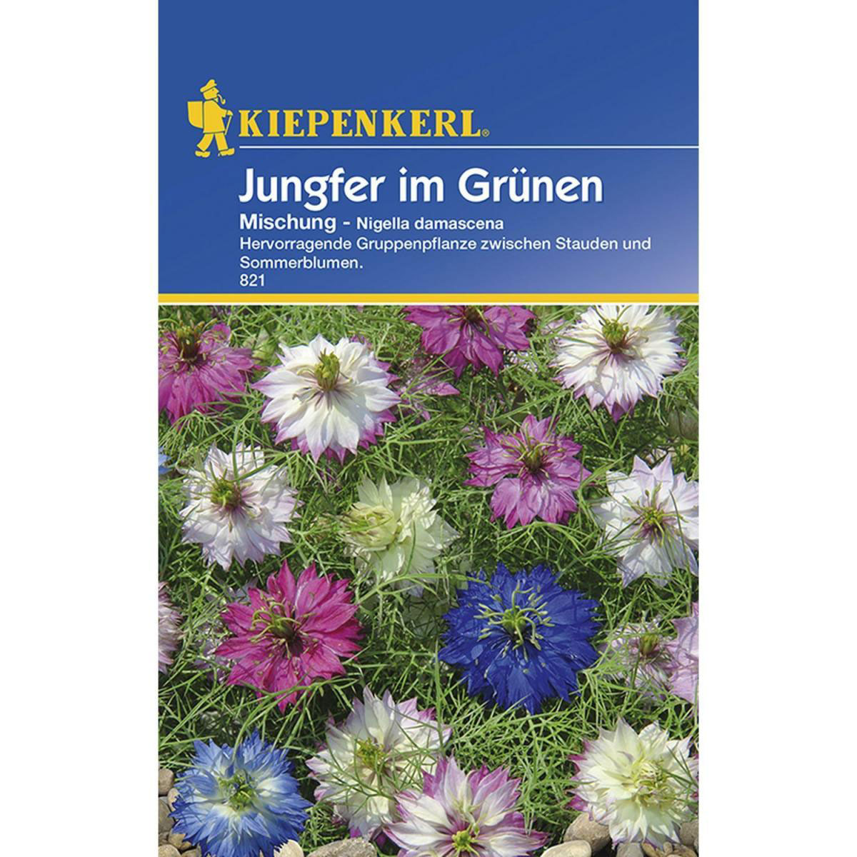 Kiepenkerl Jungfer im Grünen Mischung