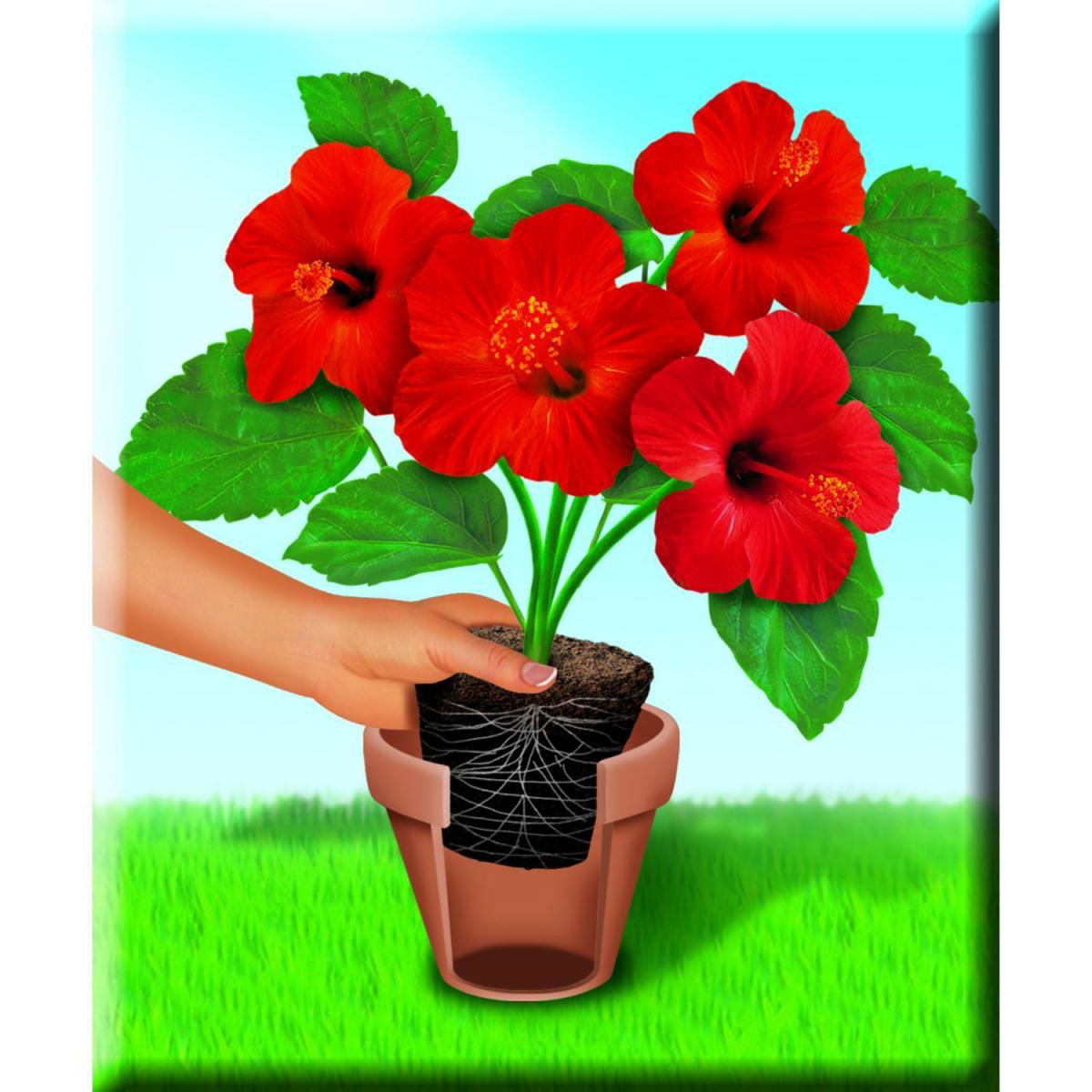 Compo Qualitäts-Blumenerde 50 L Bild 3