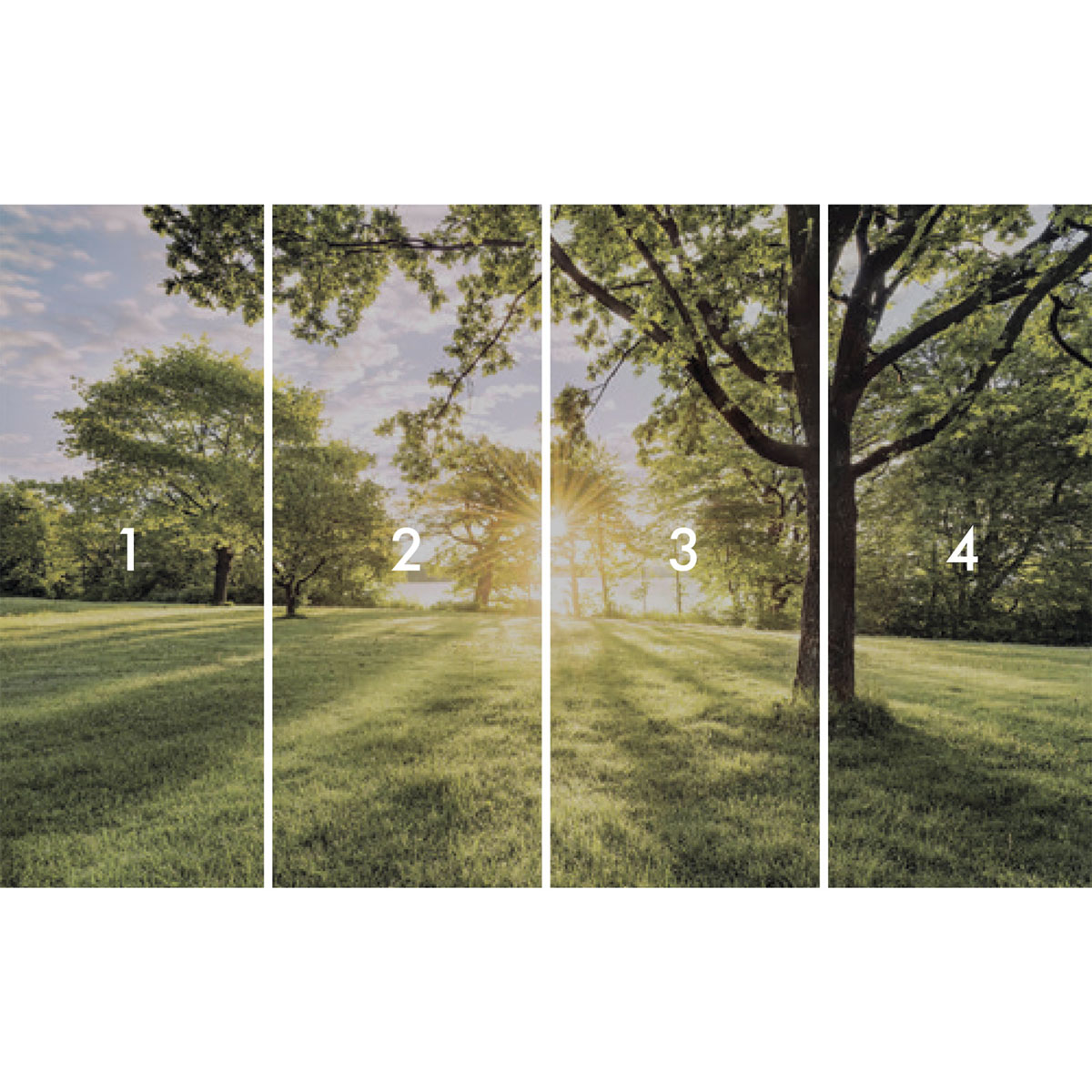 Komar  Vlies Fototapete Golden Moment 400x250 cm Bild 3