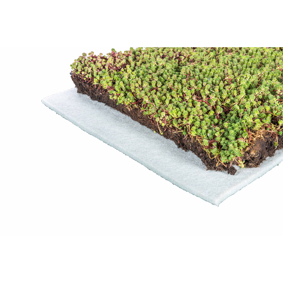 AboutGreen Dachbegrünung Roll und Go Dachneigung 5-10 Bild 2