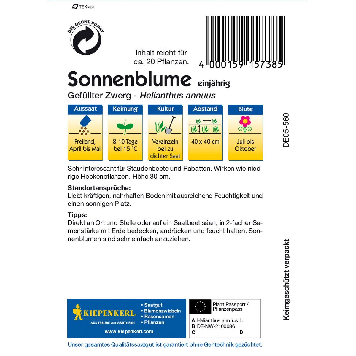 Kiepenkerl Sonnenblume Gefüllter Zwerg Bild 2