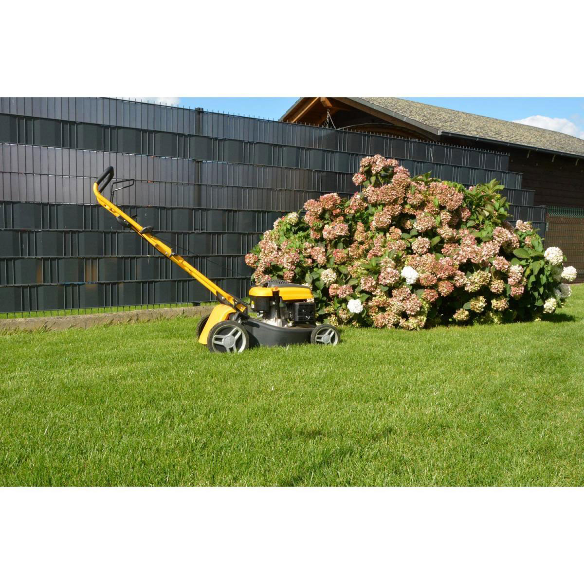 Plantiflor Rollrasen Premium-Qualität Bild 3