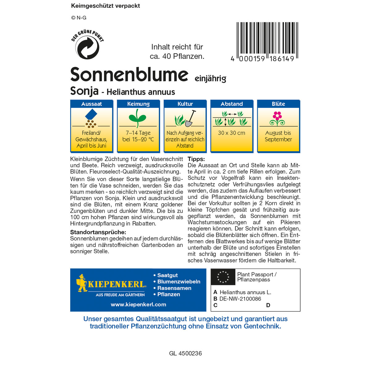Kiepenkerl Sonnenblume Sonja Bild 2