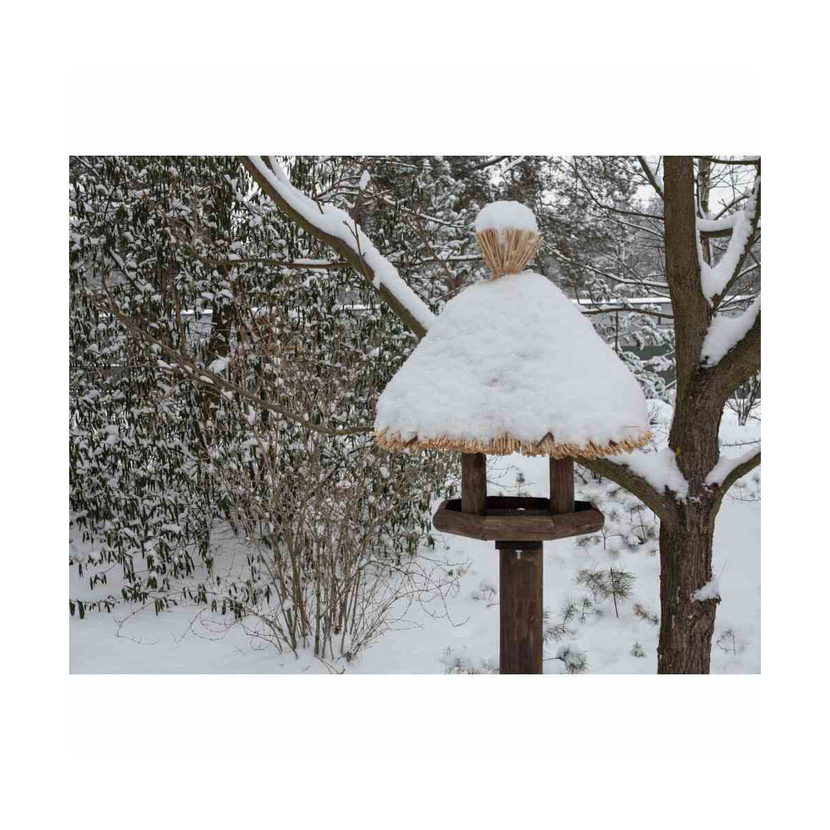 Siena Garden  Vogelhaus Sylt Bild 6