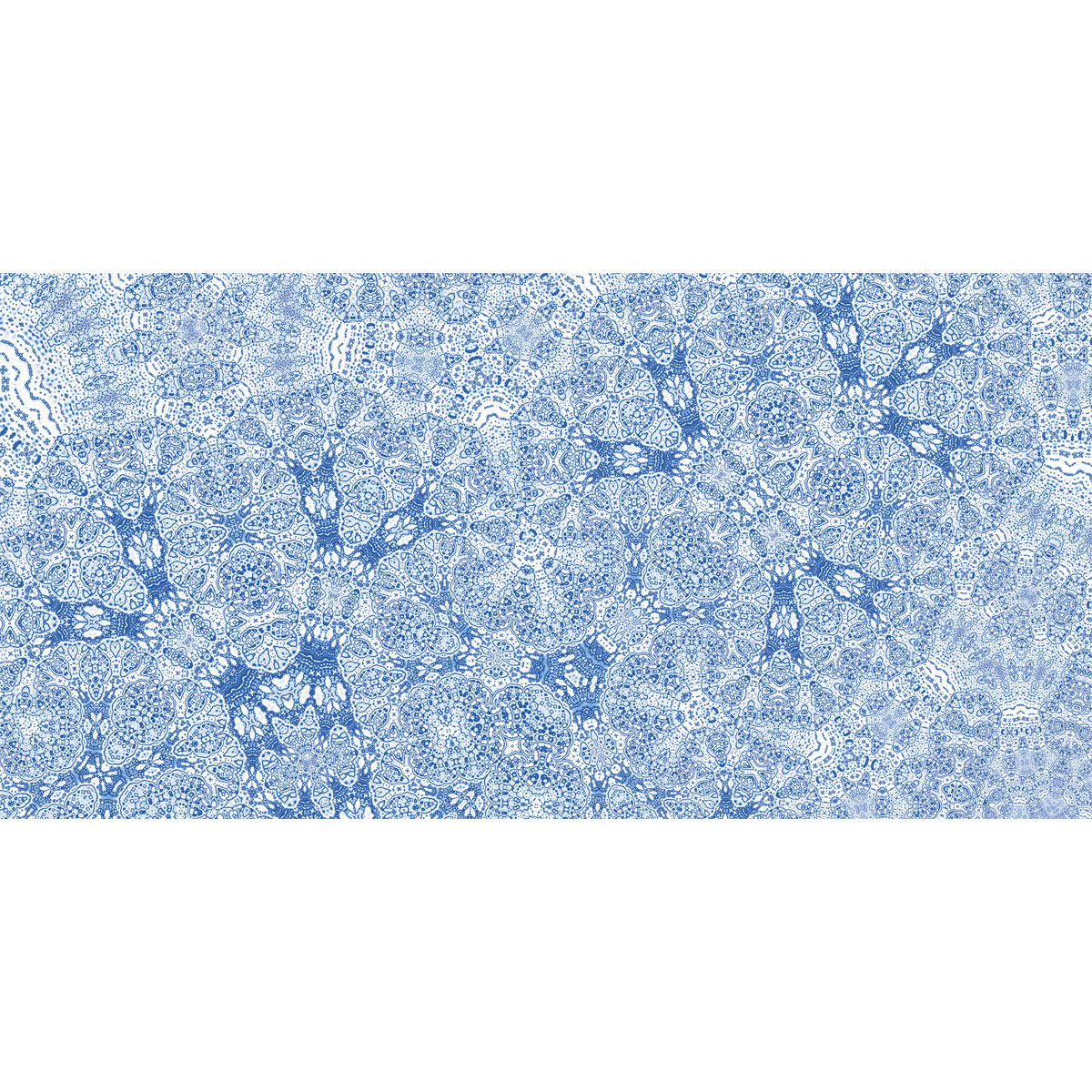 Komar  Vlies Fototapete Suprabatic 500x250 cm Bild 2