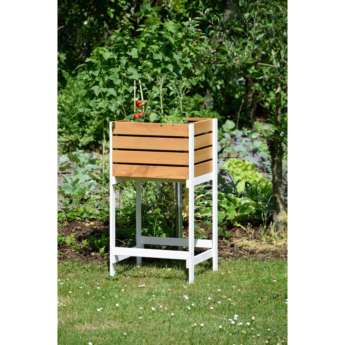 Hochbeet Obstkiste braun 49 x 42 x 90 cm Bild 6