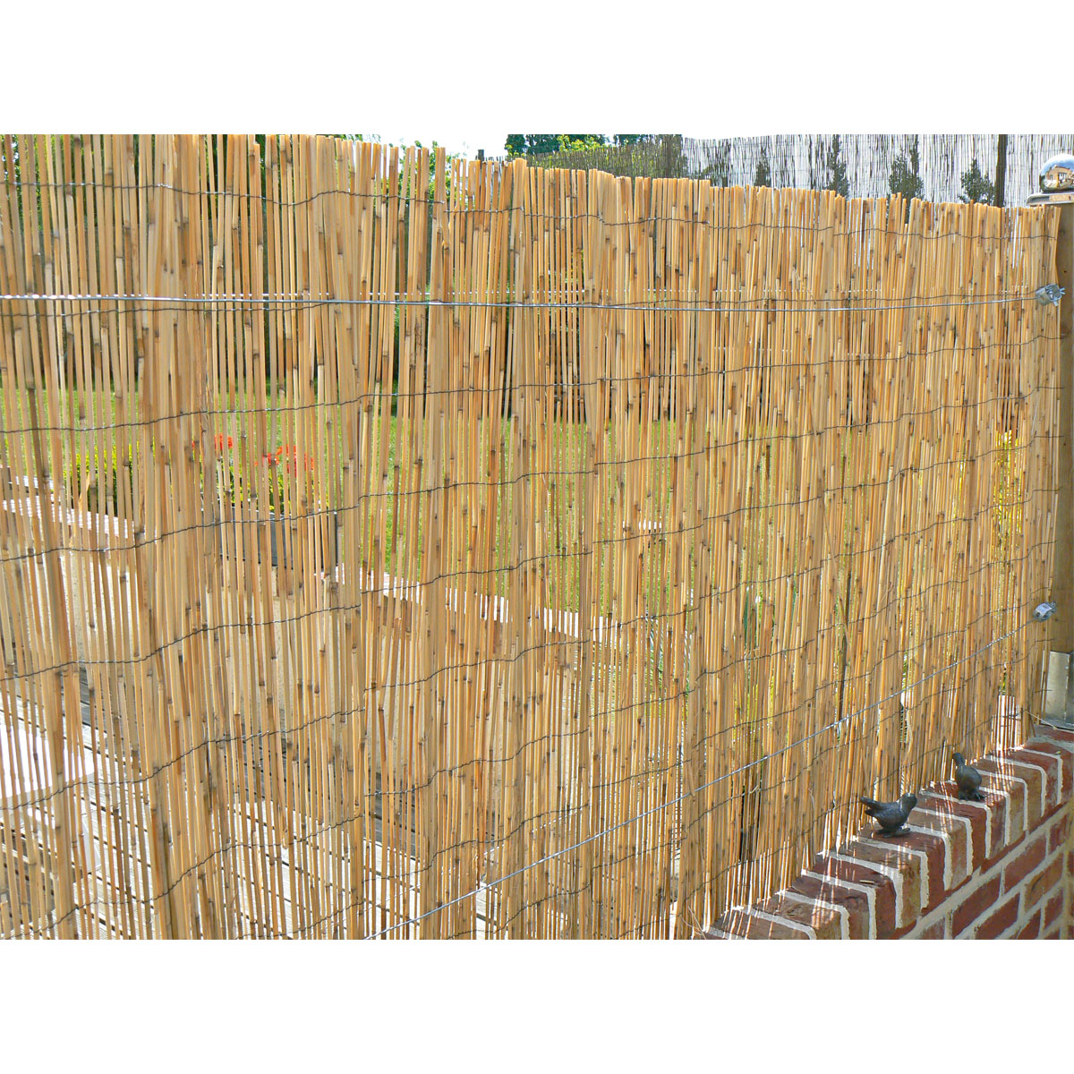 Hartmann  Schilfrohrmatte Malaga 100 x 600 cm Bild 1