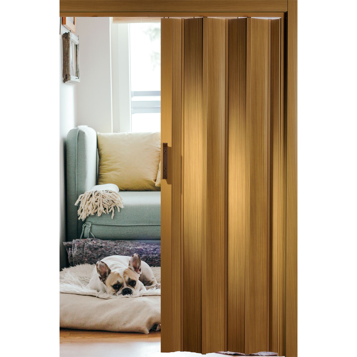 FORTE Kunststoff-Falttür Luciana B 88,5 x H 202 cm Buche Bild 2