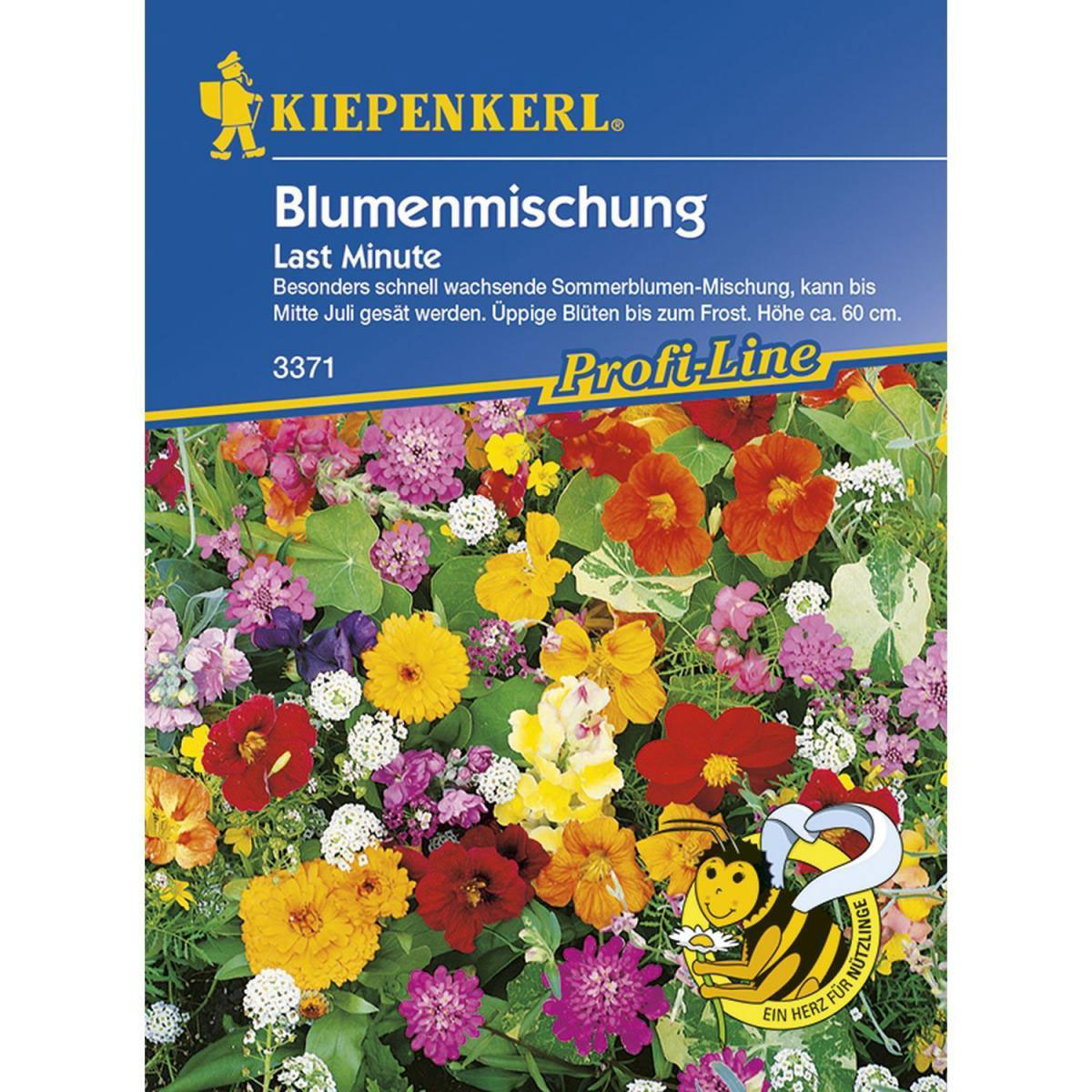 Kiepenkerl Blumenmischung Last Minute Profi-Line