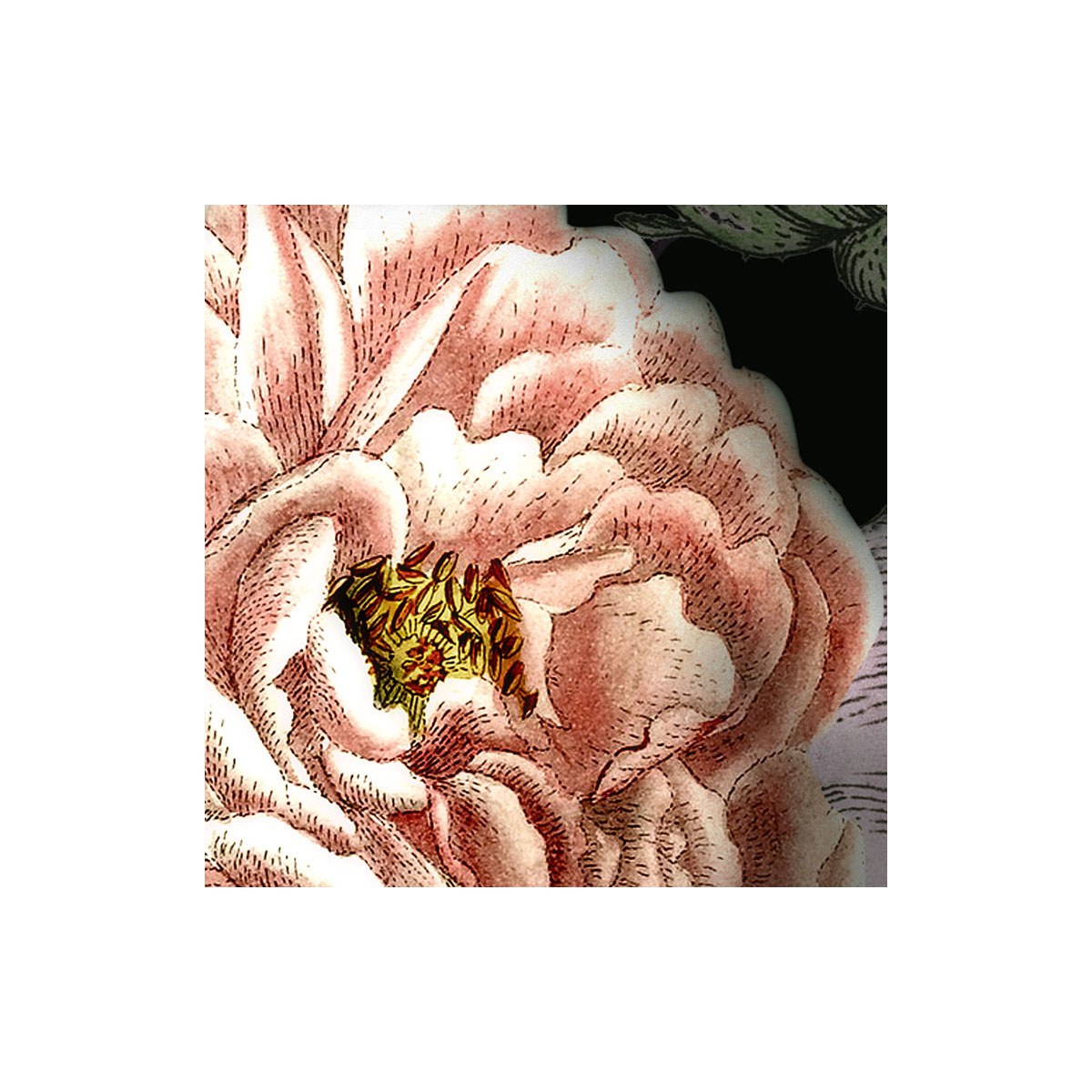 Komar  Vlies Fototapete Victoria Black 400x250 cm Bild 5