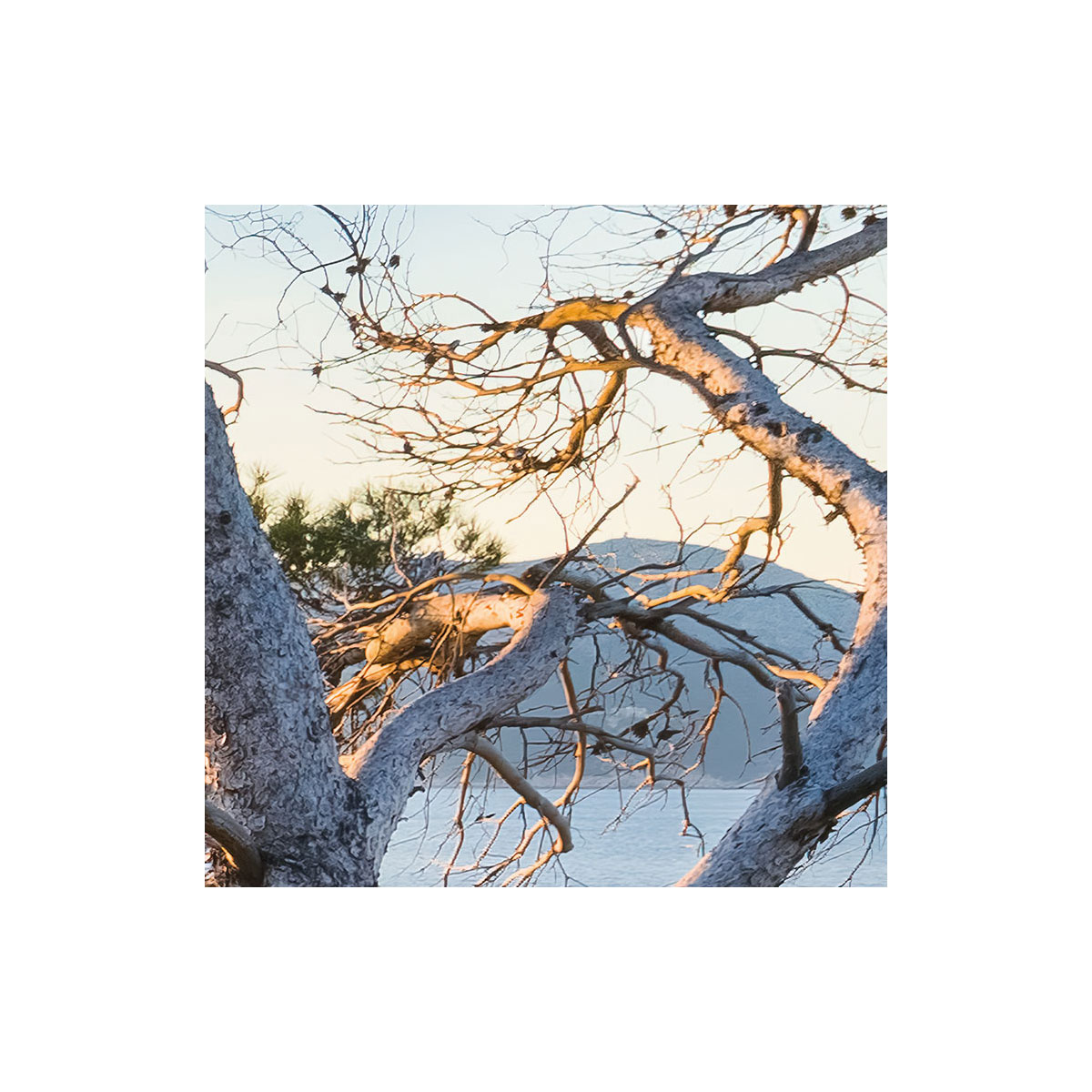 Komar  Vlies Fototapete Licht des Südens 400x280 cm Bild 6