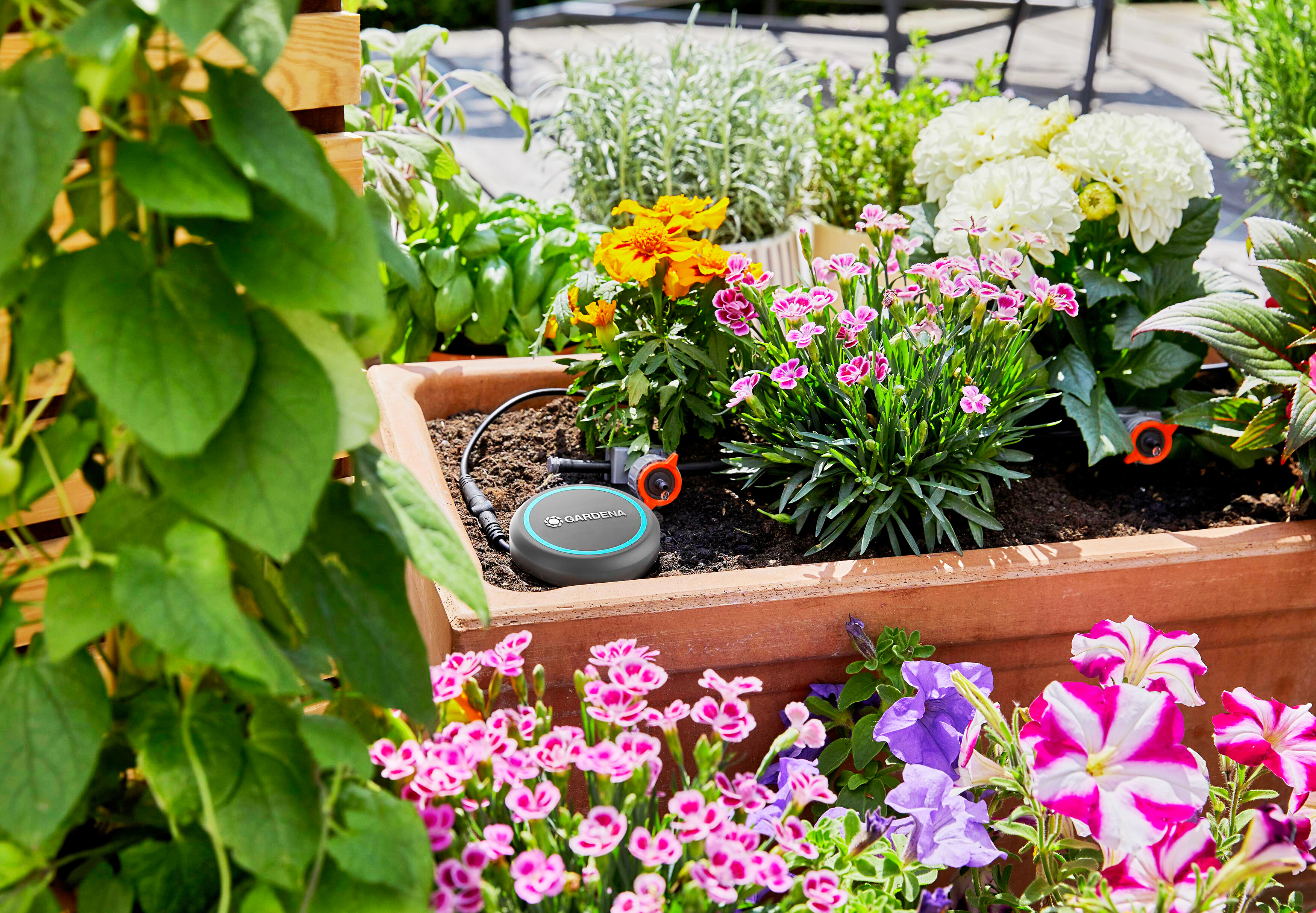 Ein Gardena-Sensor bewässert einen Blumenkasten mit bunten Blüten auf einer sonniger Terrasse.