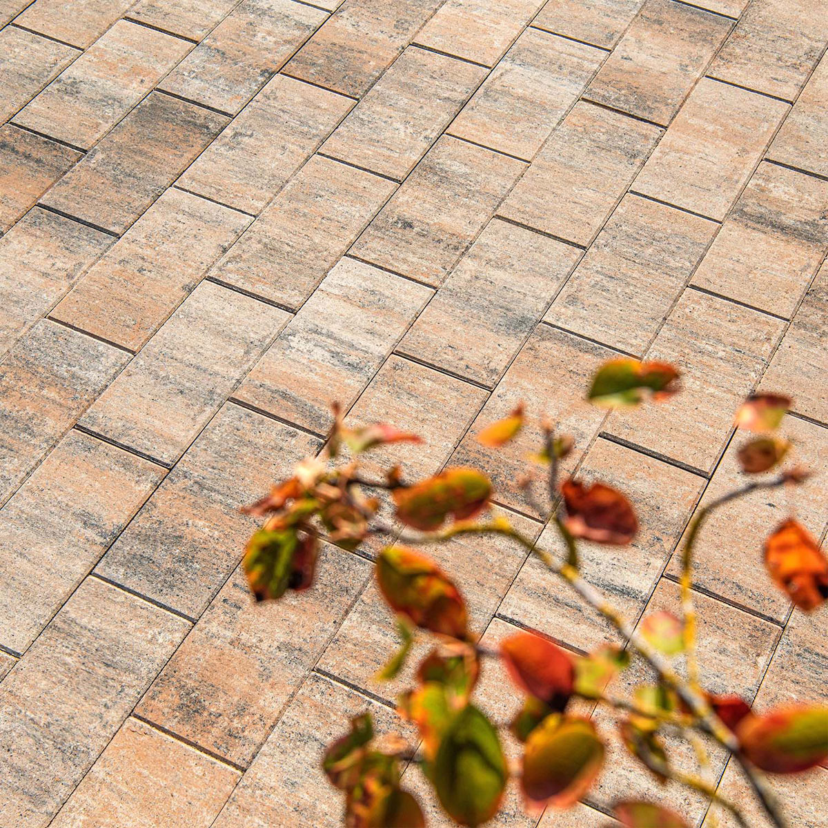 Diephaus  Terrassenplatte No. 1 Light muschelkalk 40 x 20 x 4 cm Bild 4