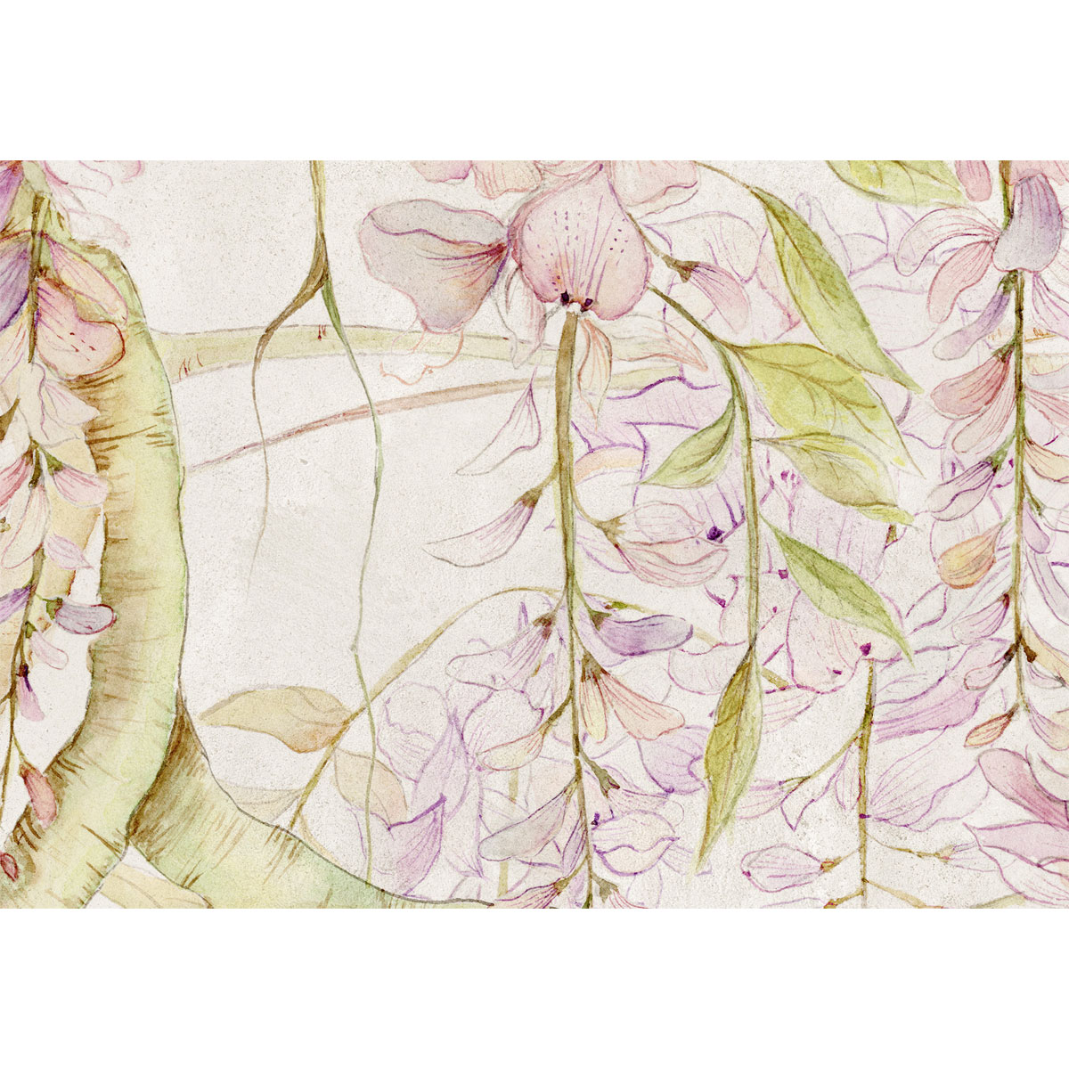 Komar  Vlies Fototapete Wisteria 400x280 cm Bild 5