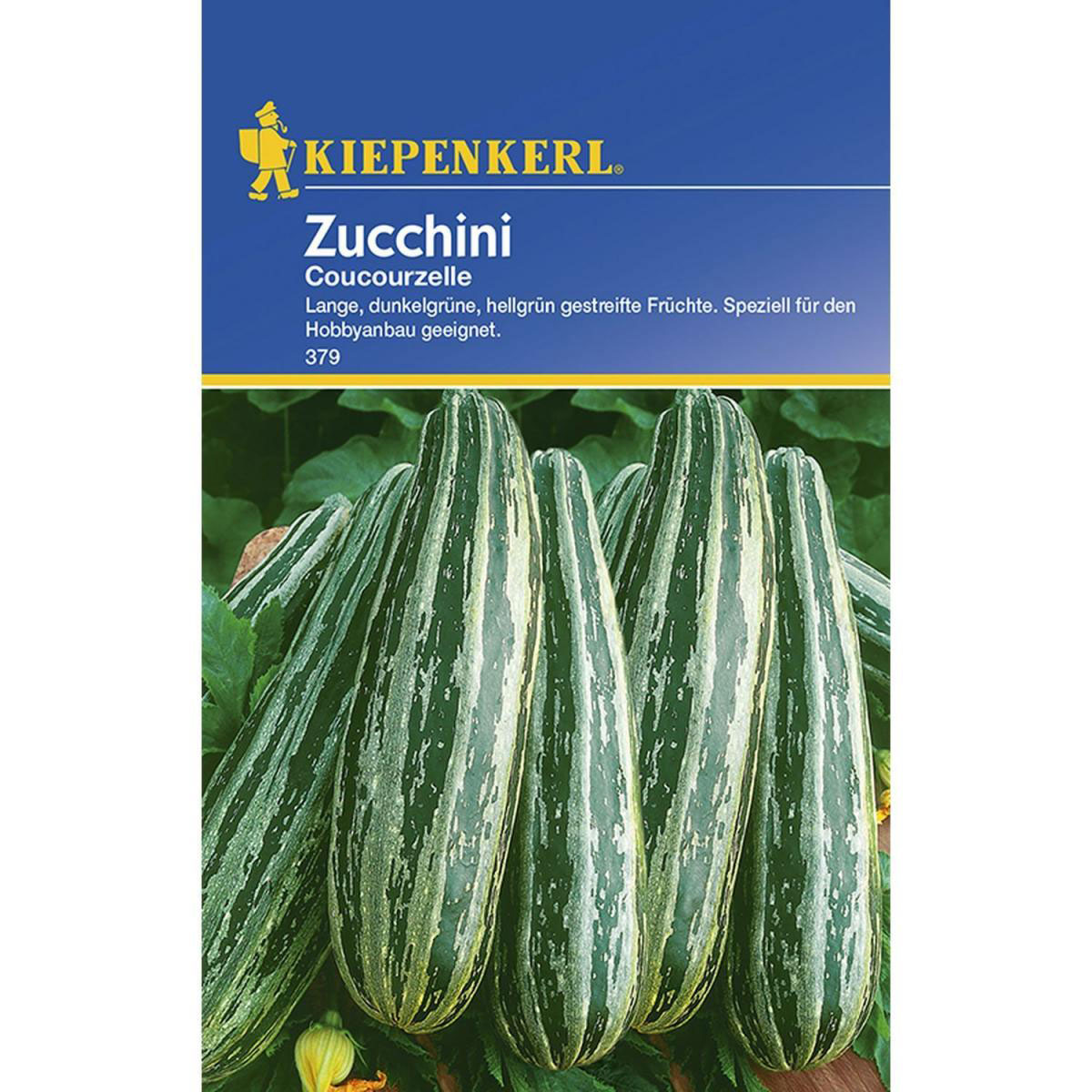 Kiepenkerl Zucchini Coucourzelle