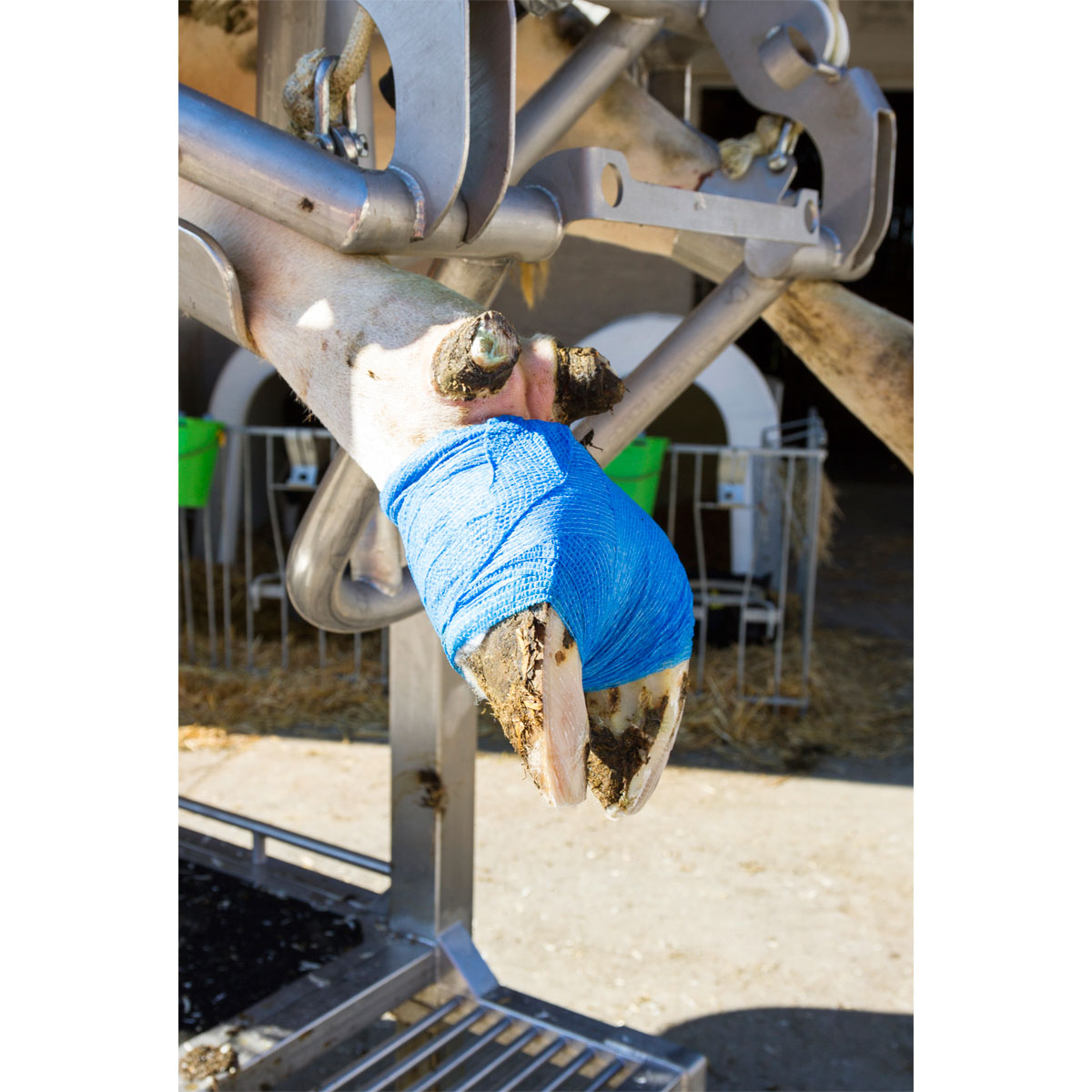 Bandage EquiLastic 10 x 450 cm blau Bild 2