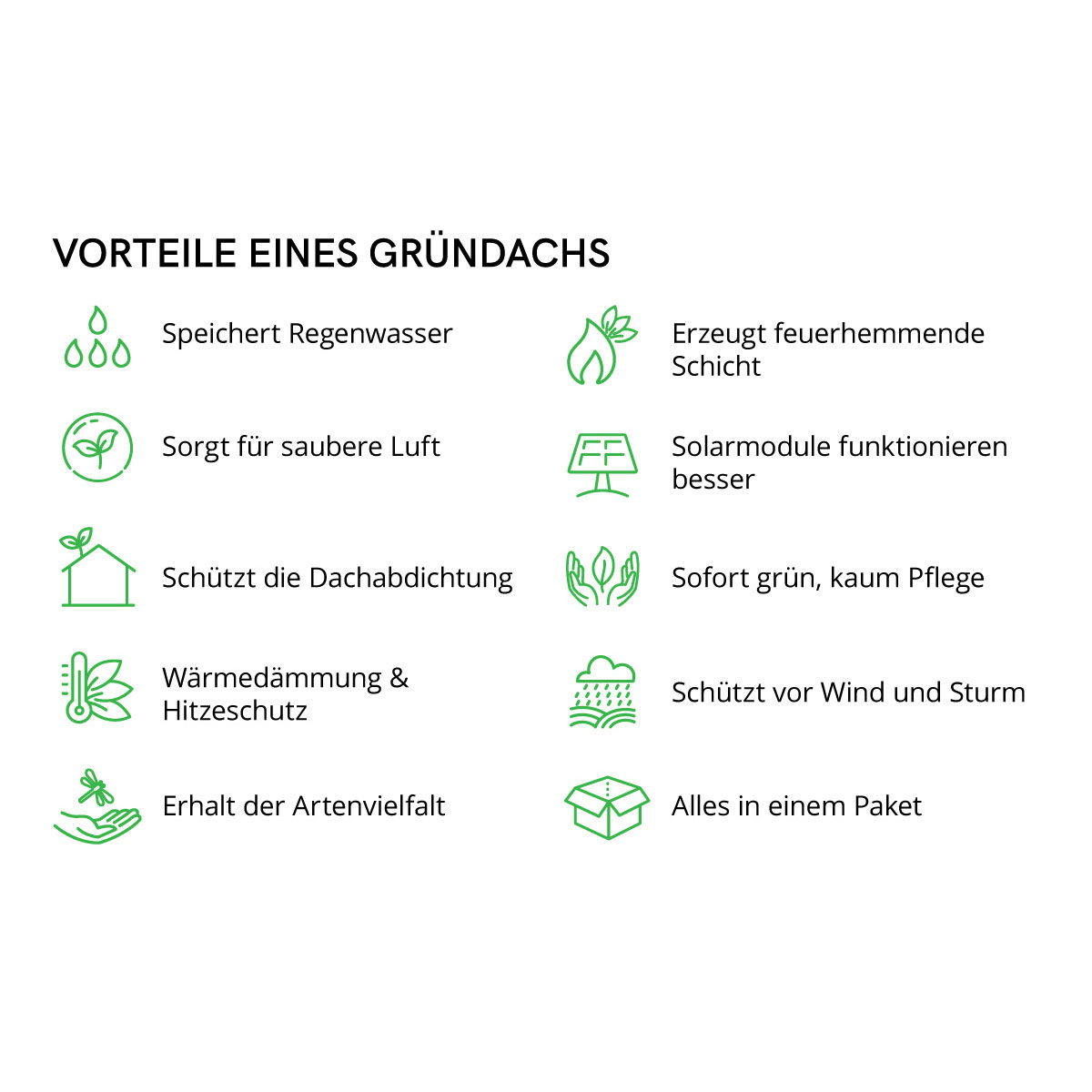 AboutGreen Gründachsystem Flachdach bis 5 Dachneigung 1 m² Bild 5
