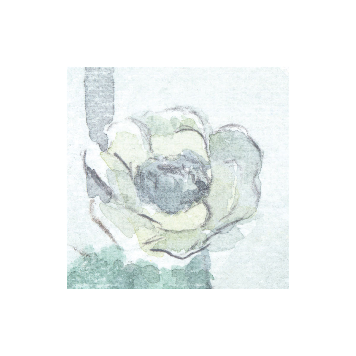 Komar  Vlies Fototapete Silva 350x250 cm Bild 4