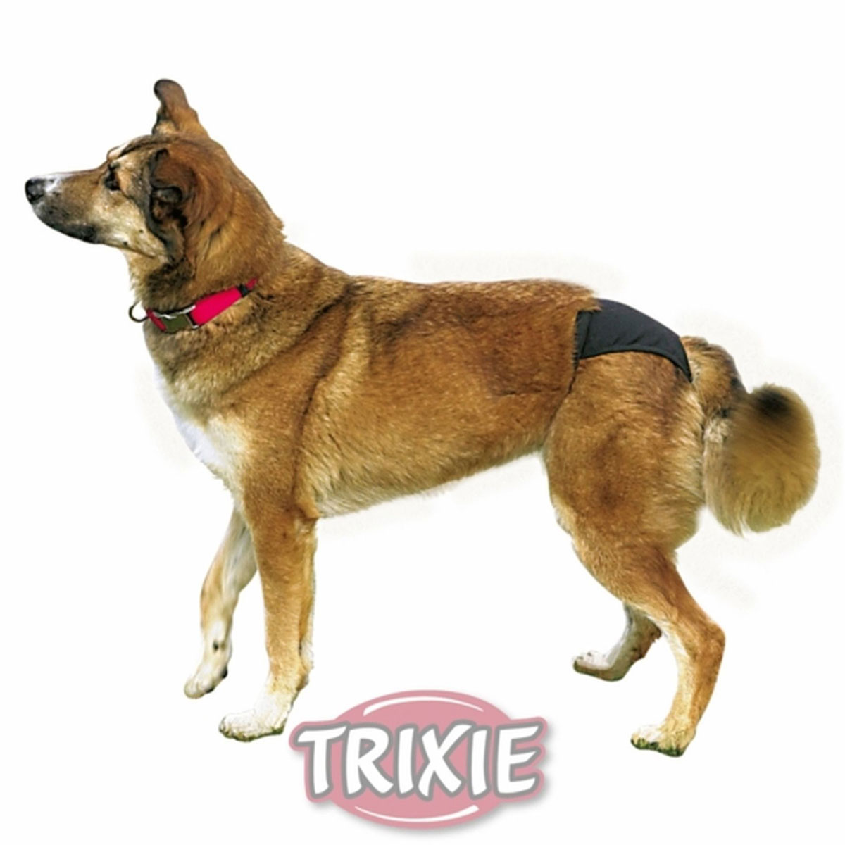 Trixie Dog Schutzhöschen schwarz XS 20-25cm