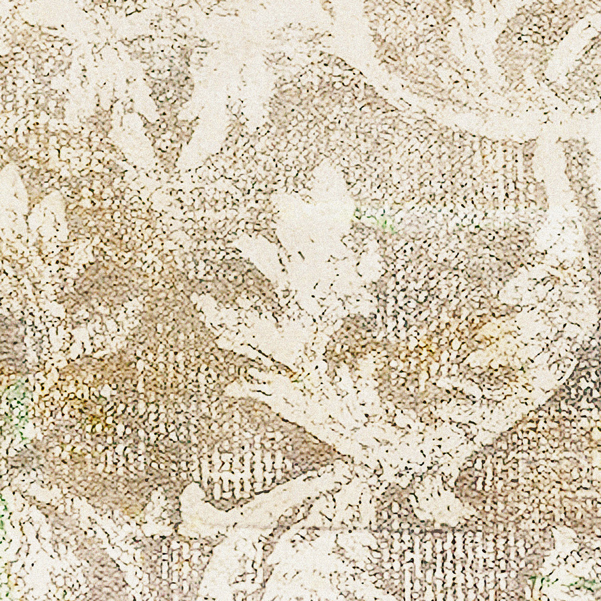 Komar  Vlies Fototapete Ancient Times 200x280 cm Bild 5