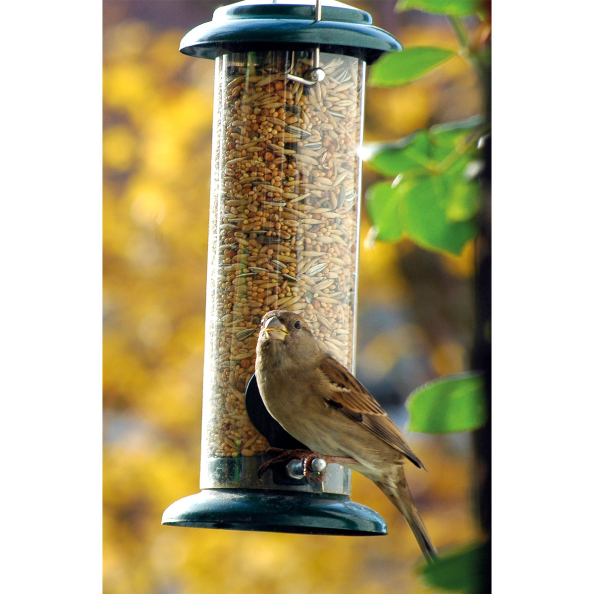 Futterspender zum Aufhängen 9,5 x 9,5 x 23 cm Metall Dunkelgrün Bild 7