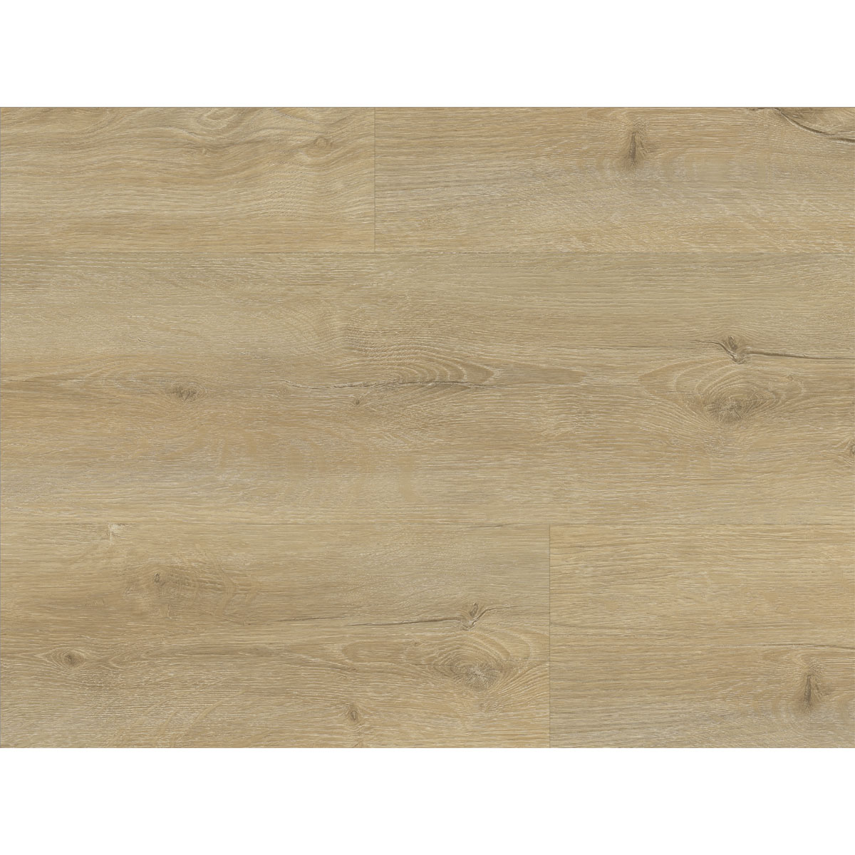 Strong SPC Vinylboden Georgia 122 x 228 x 3,8 mm Bild 2