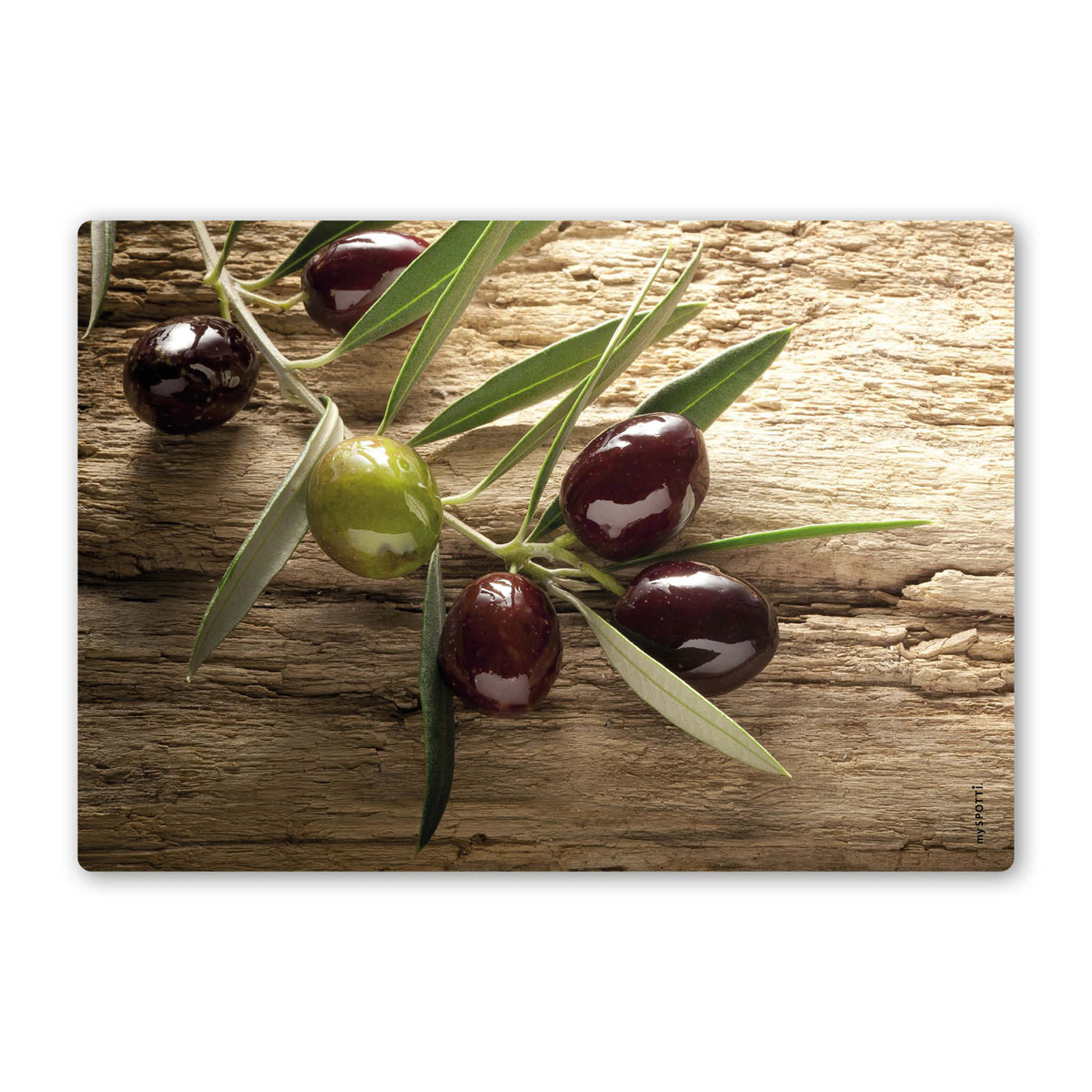 MySpotti Pop Mini-SpritzschutzOlivenzweig Bild 2