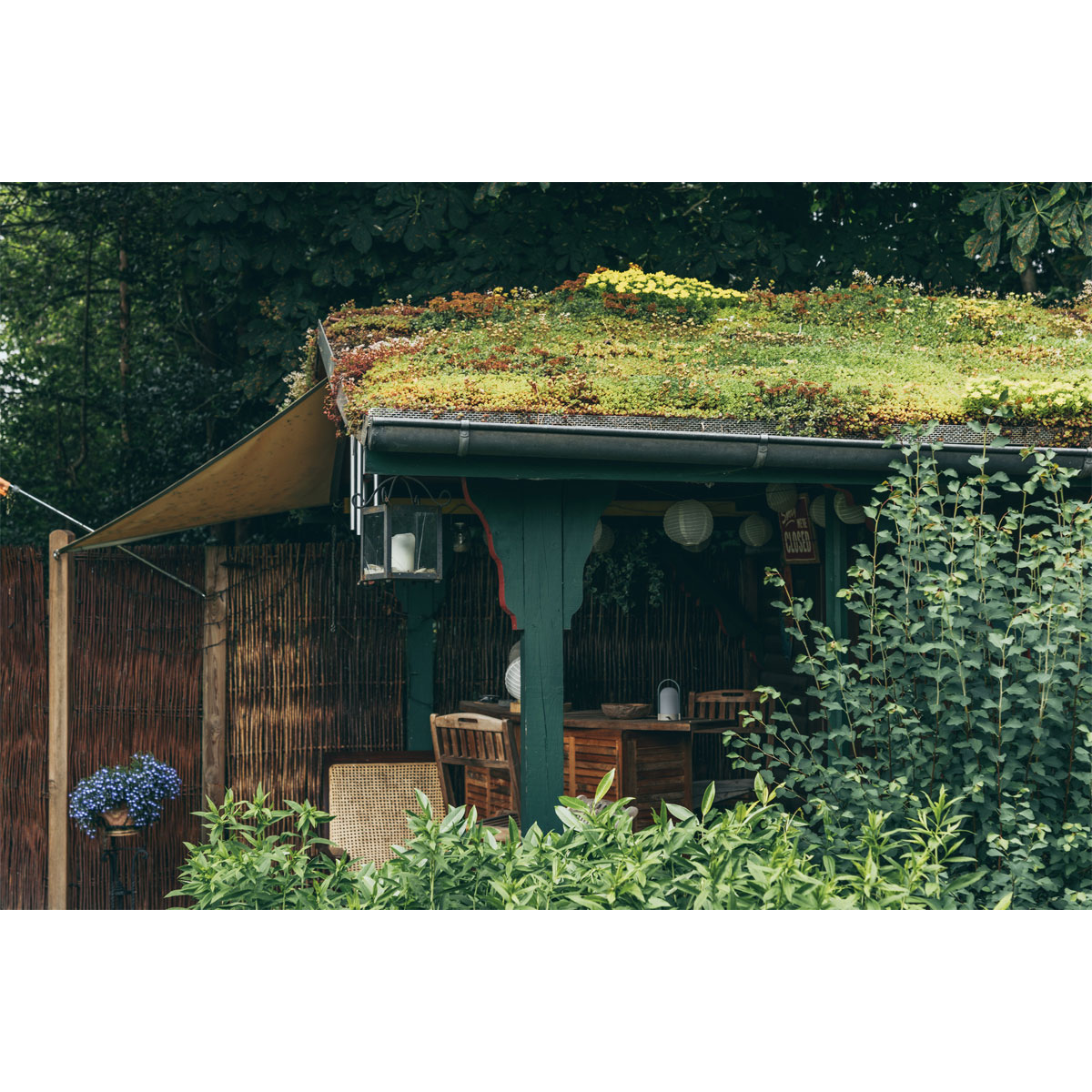 AboutGreen Dachbegrünung Roll und Go Dachneigung 5-10 Bild 4