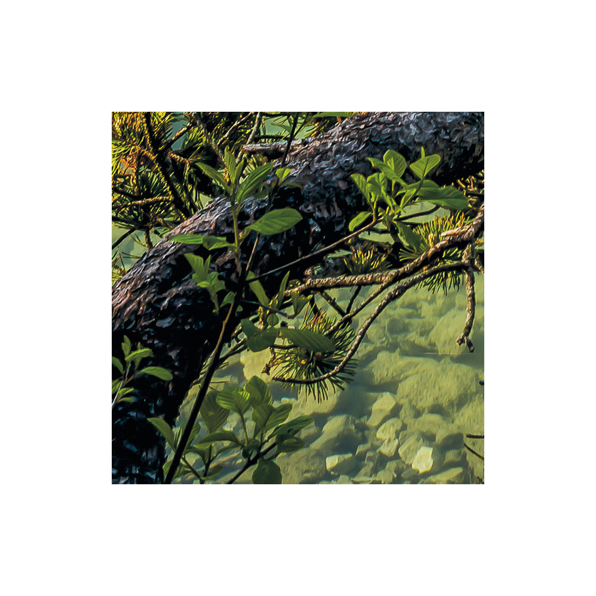 Komar  Vlies Fototapete Beautiful Germany 200x250 cm Bild 4