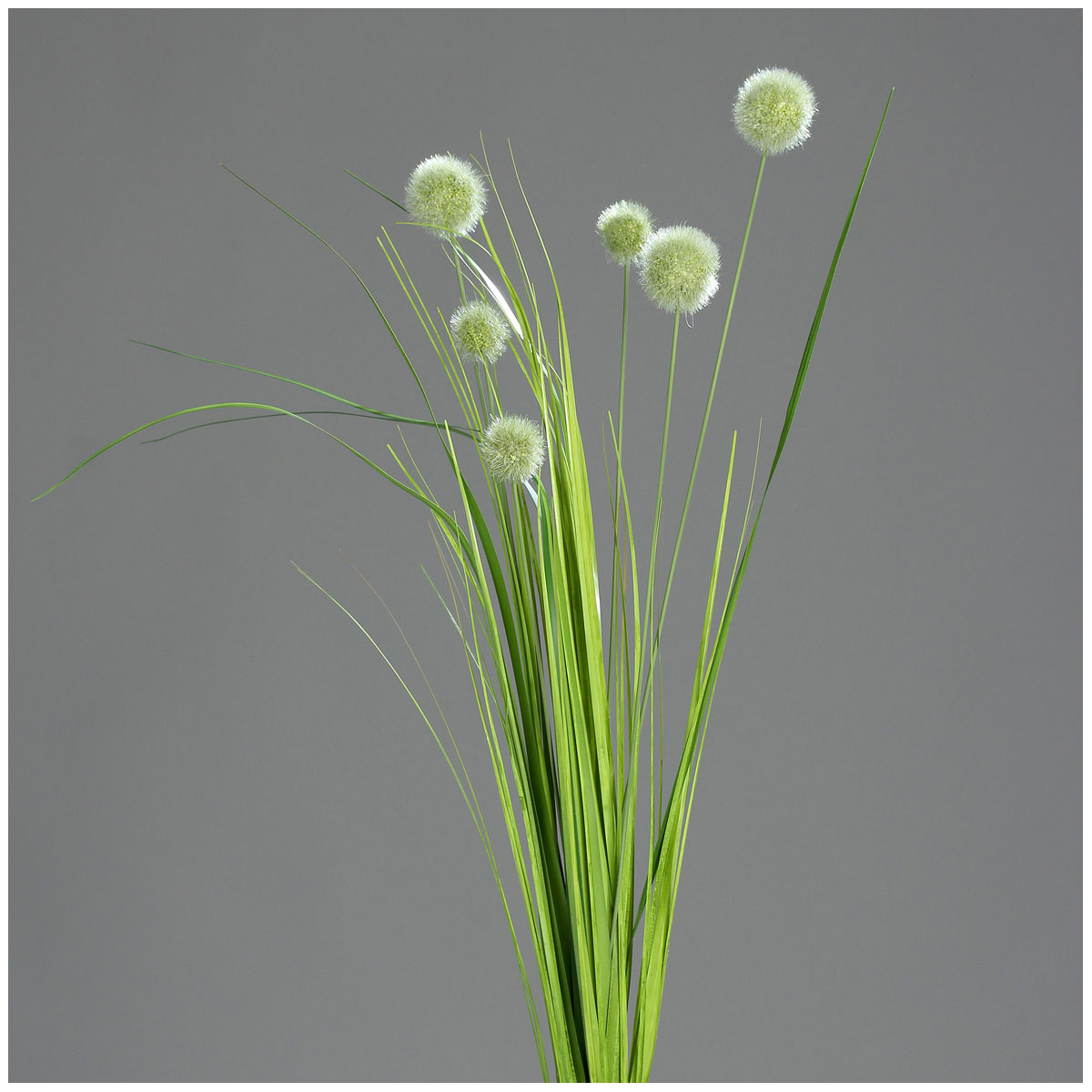 Kugelgras-Busch 70 cm green-cream