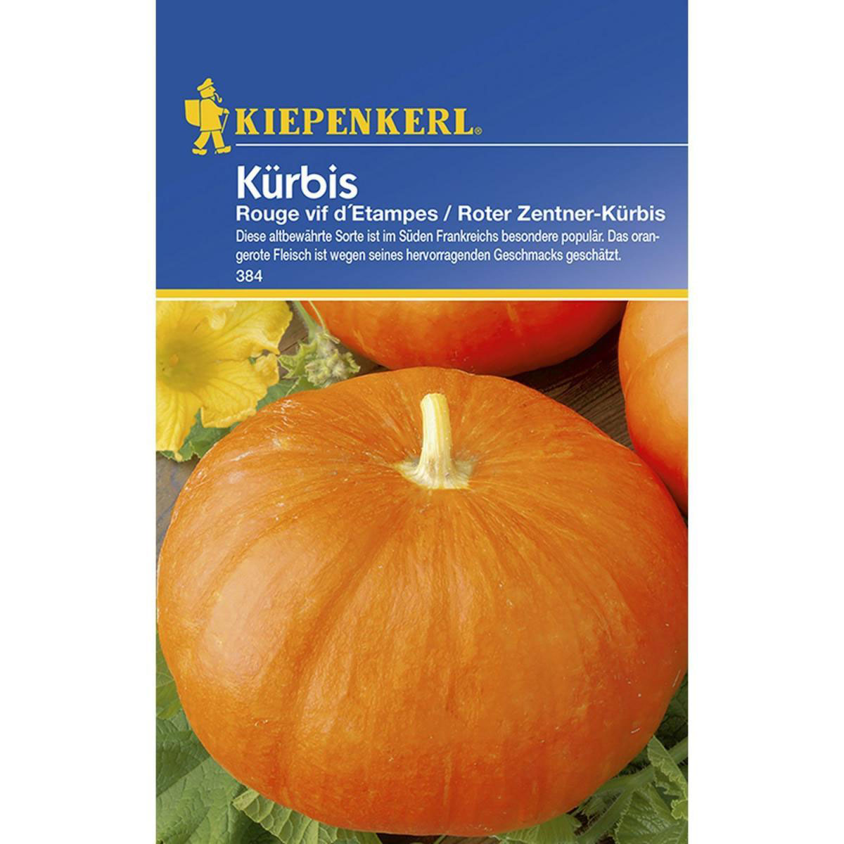 Kiepenkerl Kürbis Rouge vif dEtampes