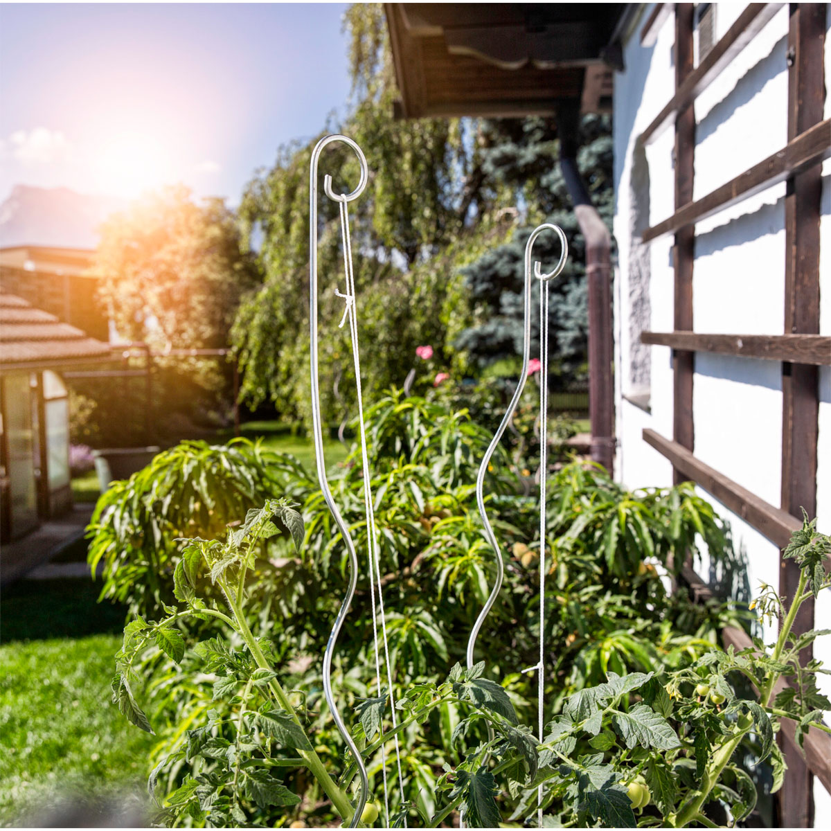 Windhager  Tomatenspiralstab mit Haken 180 cm