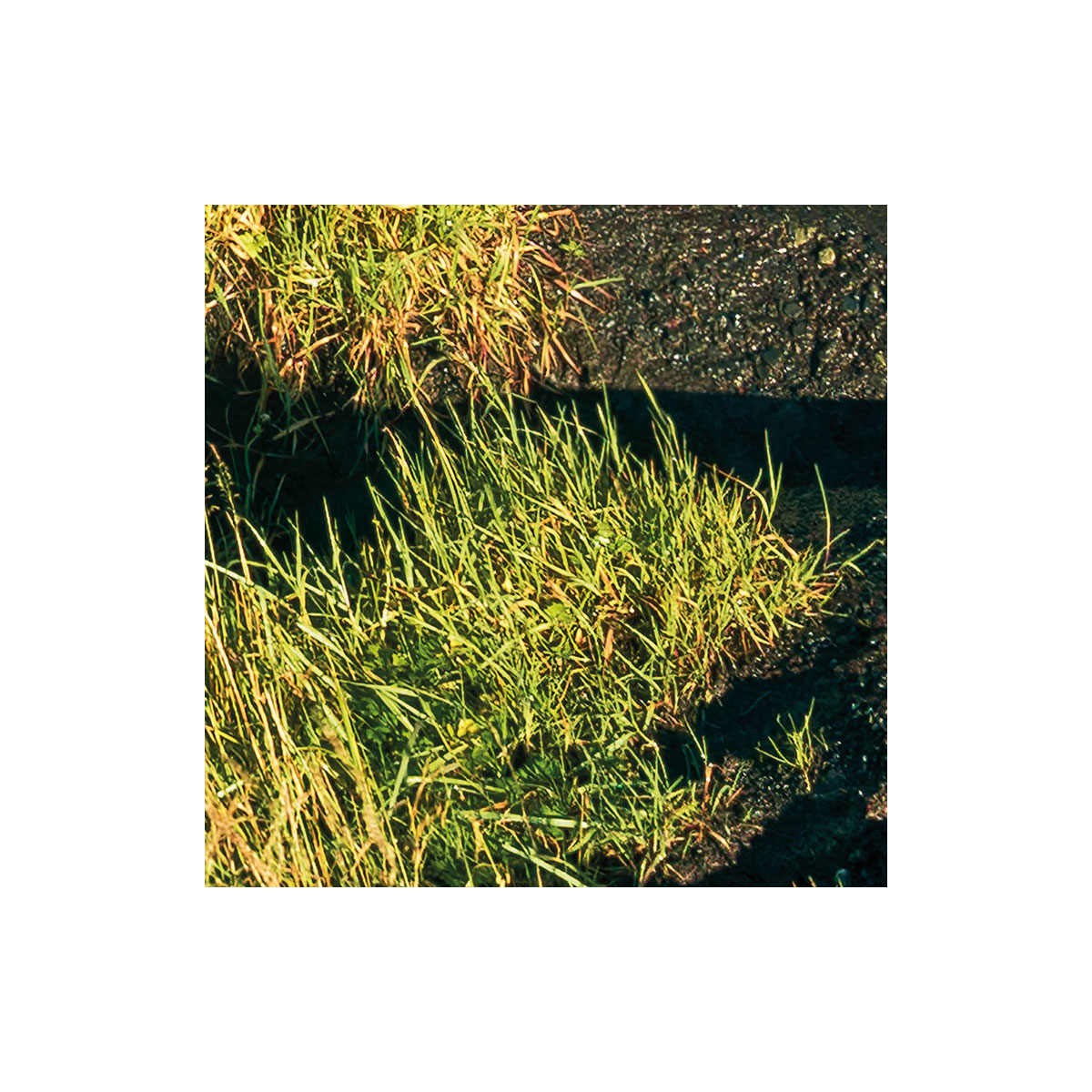 Komar  Vlies Fototapete Power of Iceland 450x280 cm Bild 7