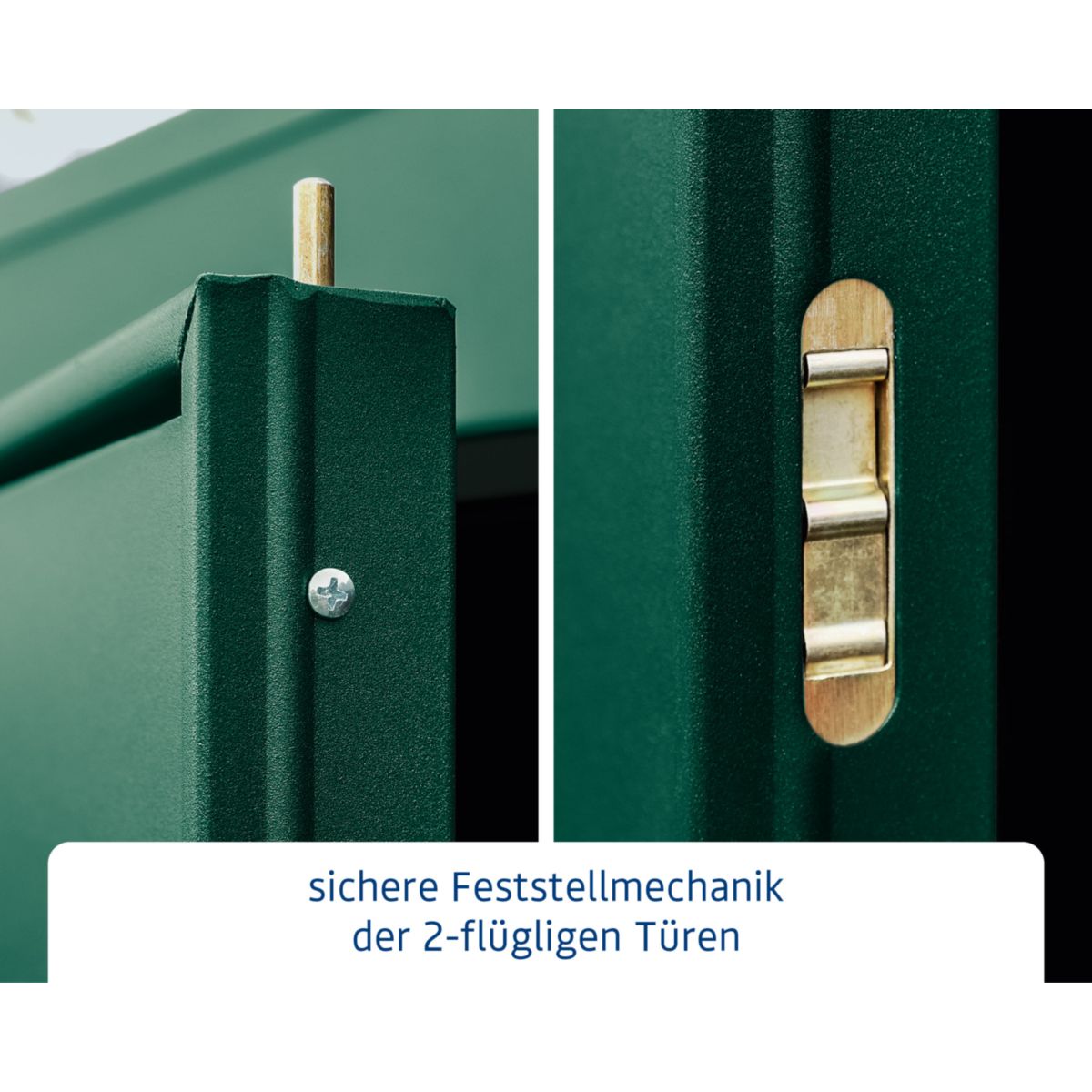 EcoStar  Gerätehaus Elegant-PTyp 3RAL6005 2 flg Bild 6