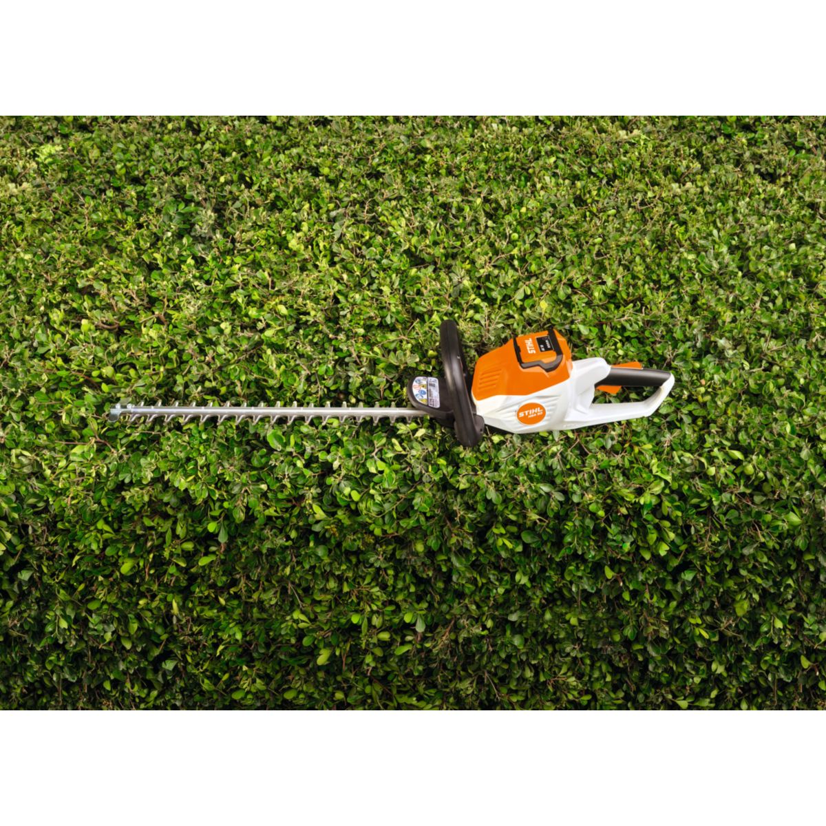 Stihl Akku-Heckenschere HSA 50 Bild 4