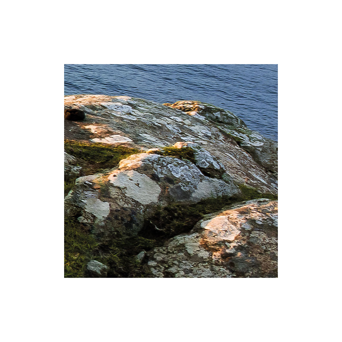 Komar  Vlies Fototapete Scottish Paradise 450x280 cm Bild 3