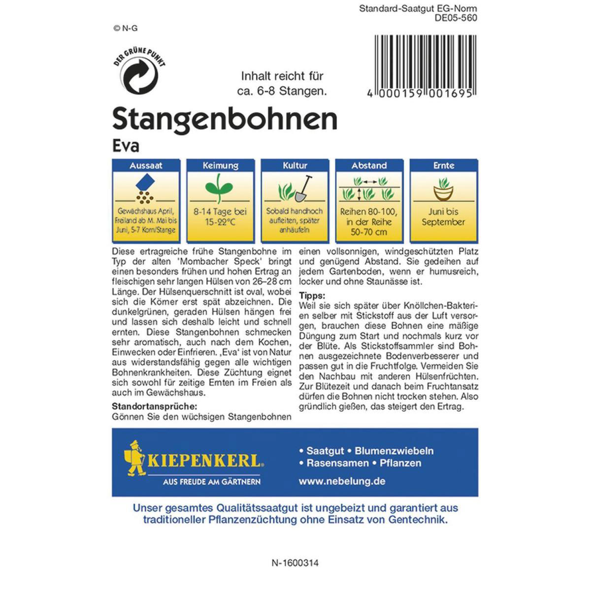 Kiepenkerl Stangenbohnen Eva Profi-Line Bild 2