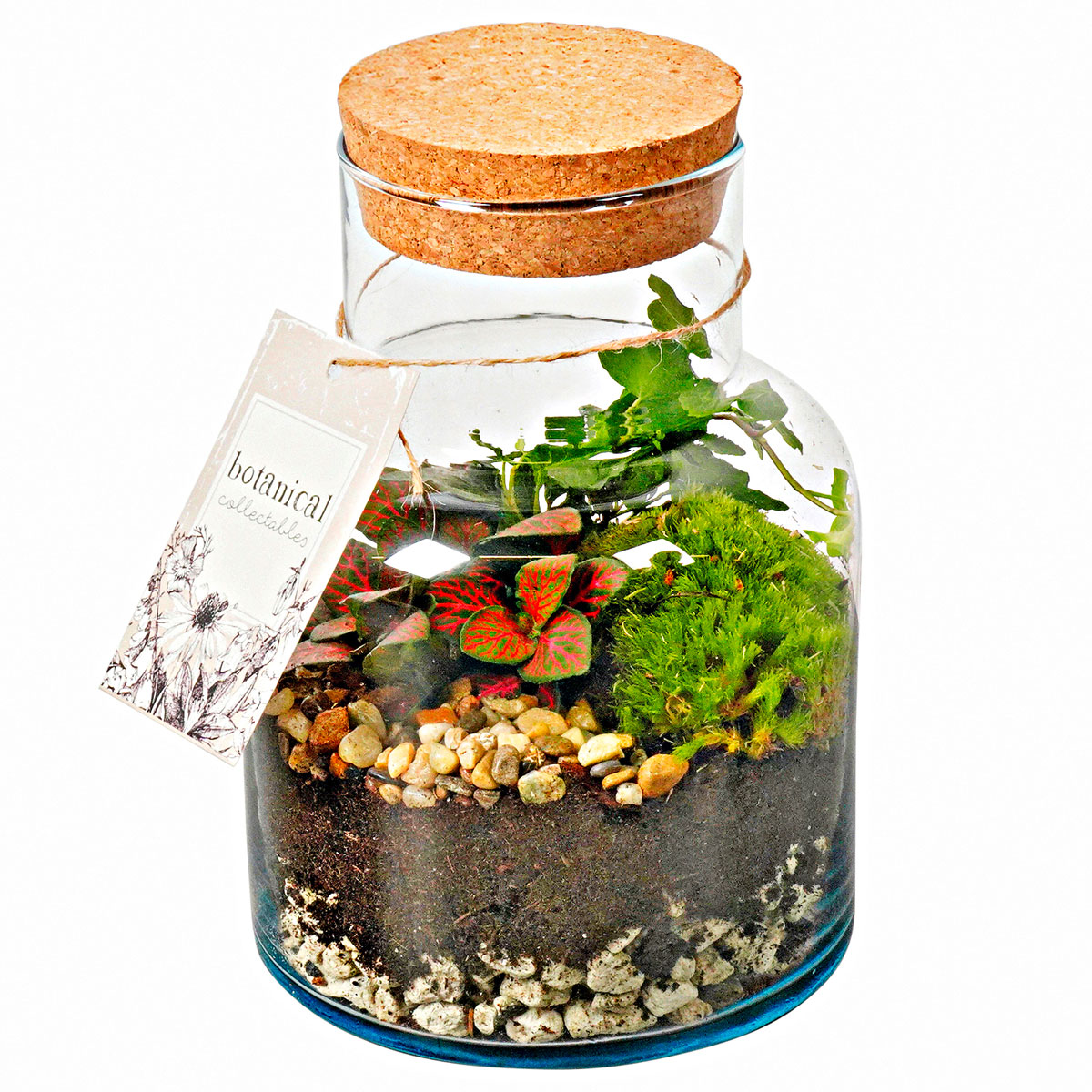 Plantiflor  Glasvase Rund 21 x 15 cm