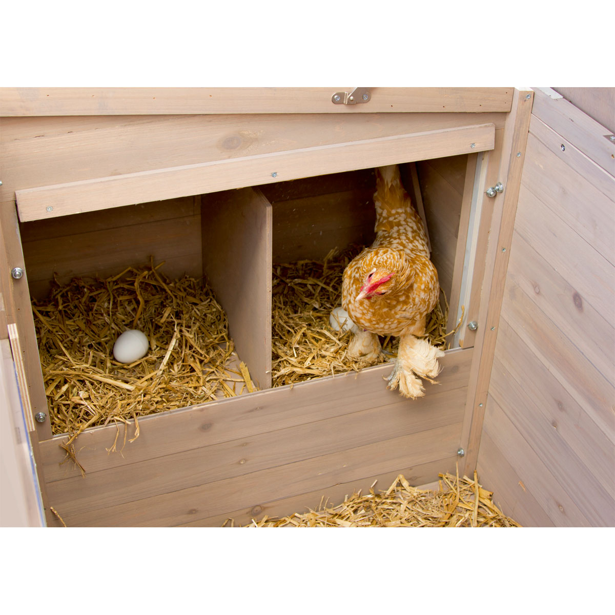 Hühnerstall Emma 146 x 85 x 74 cm braun Bild 7
