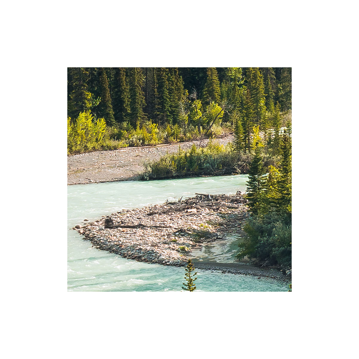 Komar  Vlies Fototapete Wild Canada 450x280 cm Bild 5